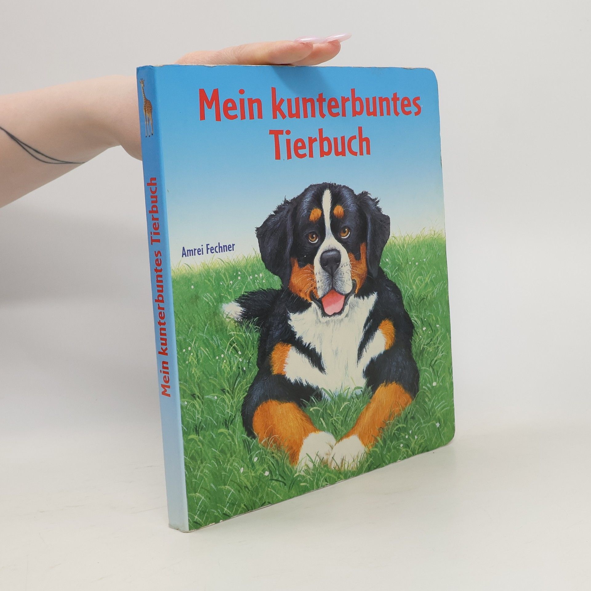 Amrei Fechner Mein kunterbuntes TierbuchA