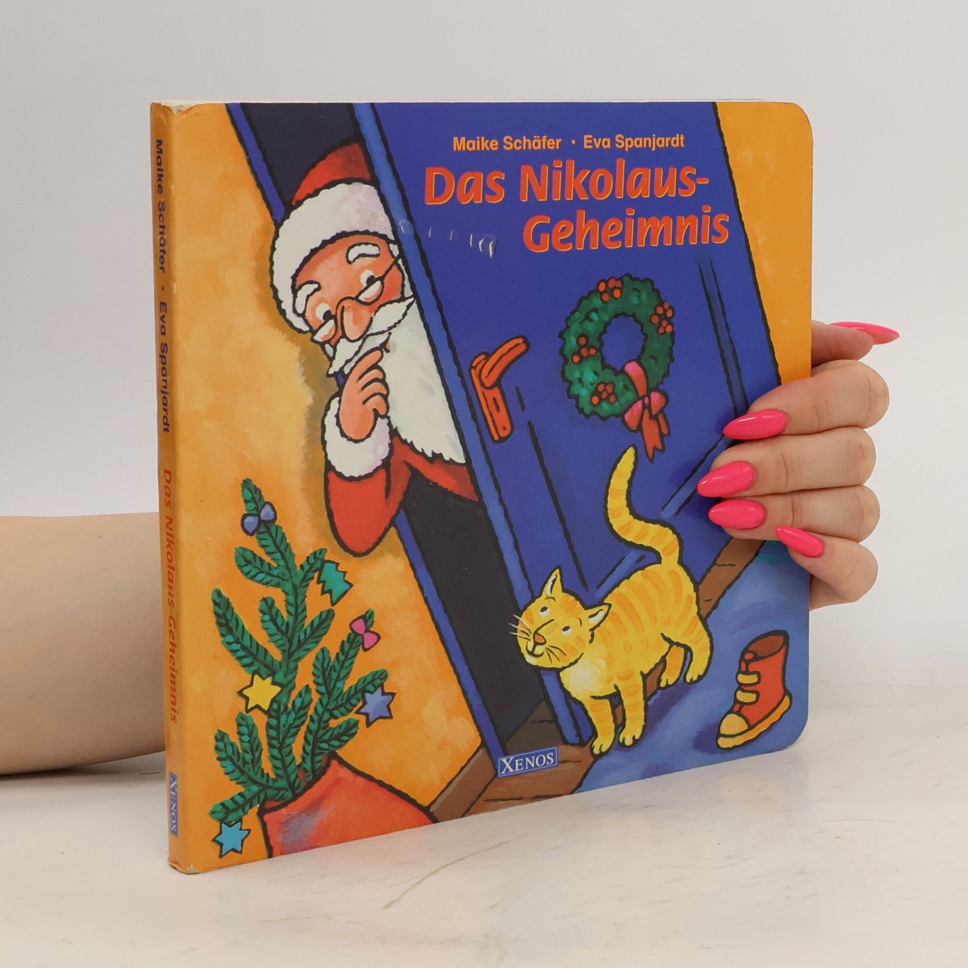Maike Schäfer Das Nikolaus-Geheimnis