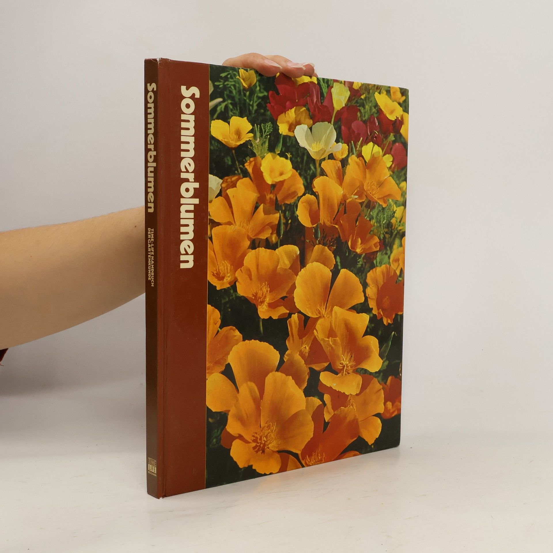 Autorenkollektiv Sommerblumen