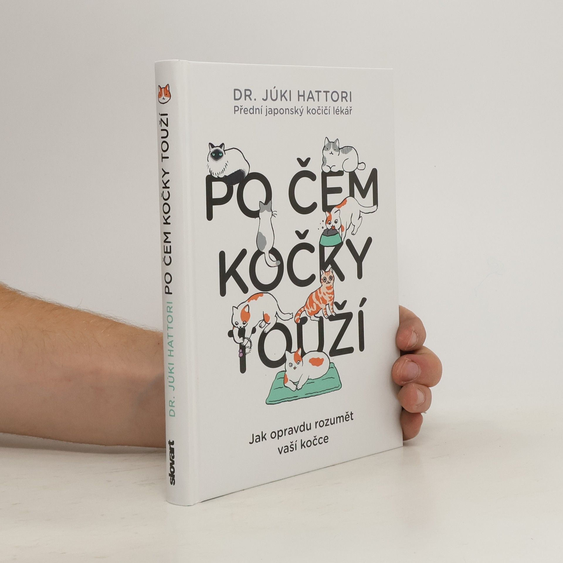 Júki Hattori Po čem kočky touží : jak opravdu rozumět vaší kočce