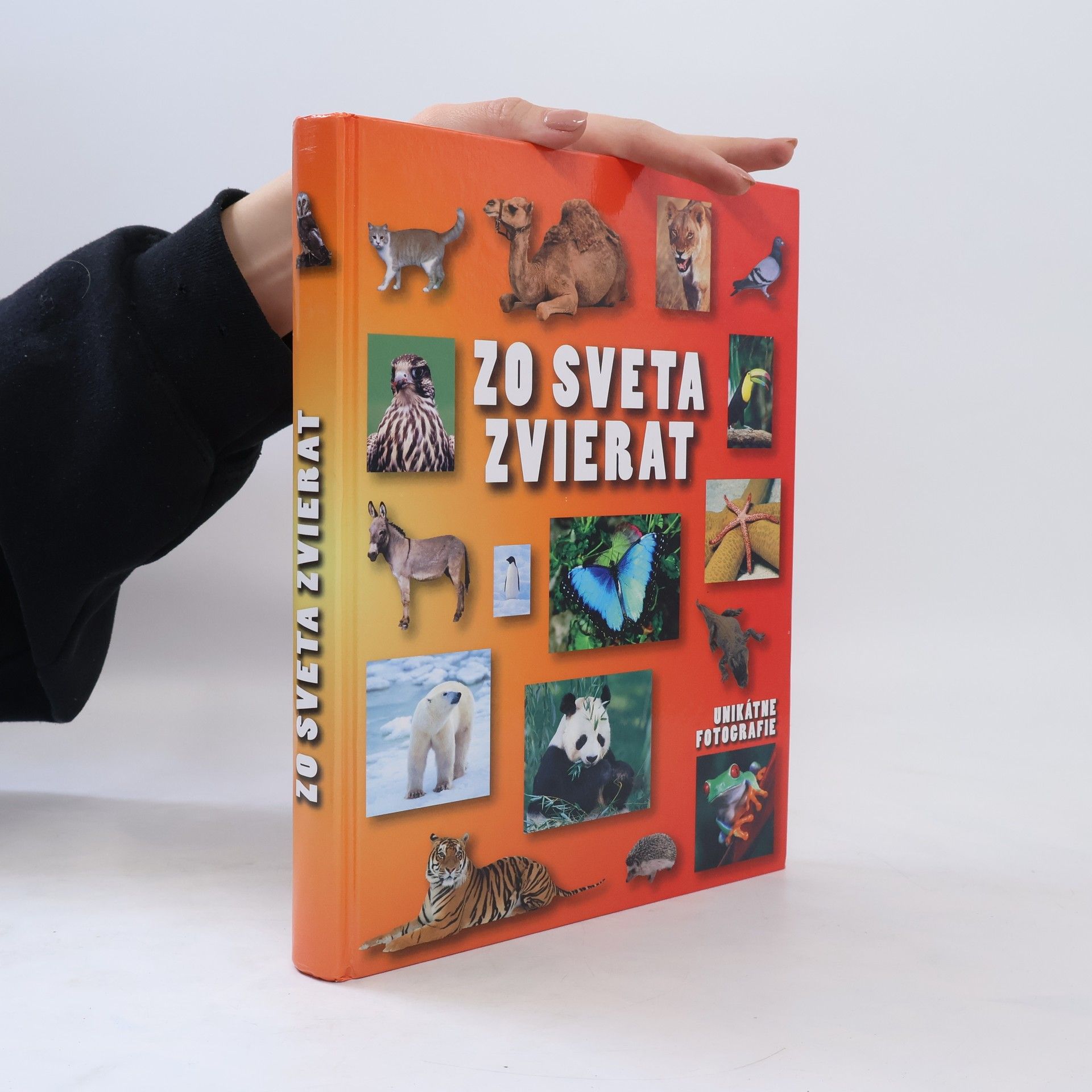 Autorenkollektiv Zo sveta zvierat