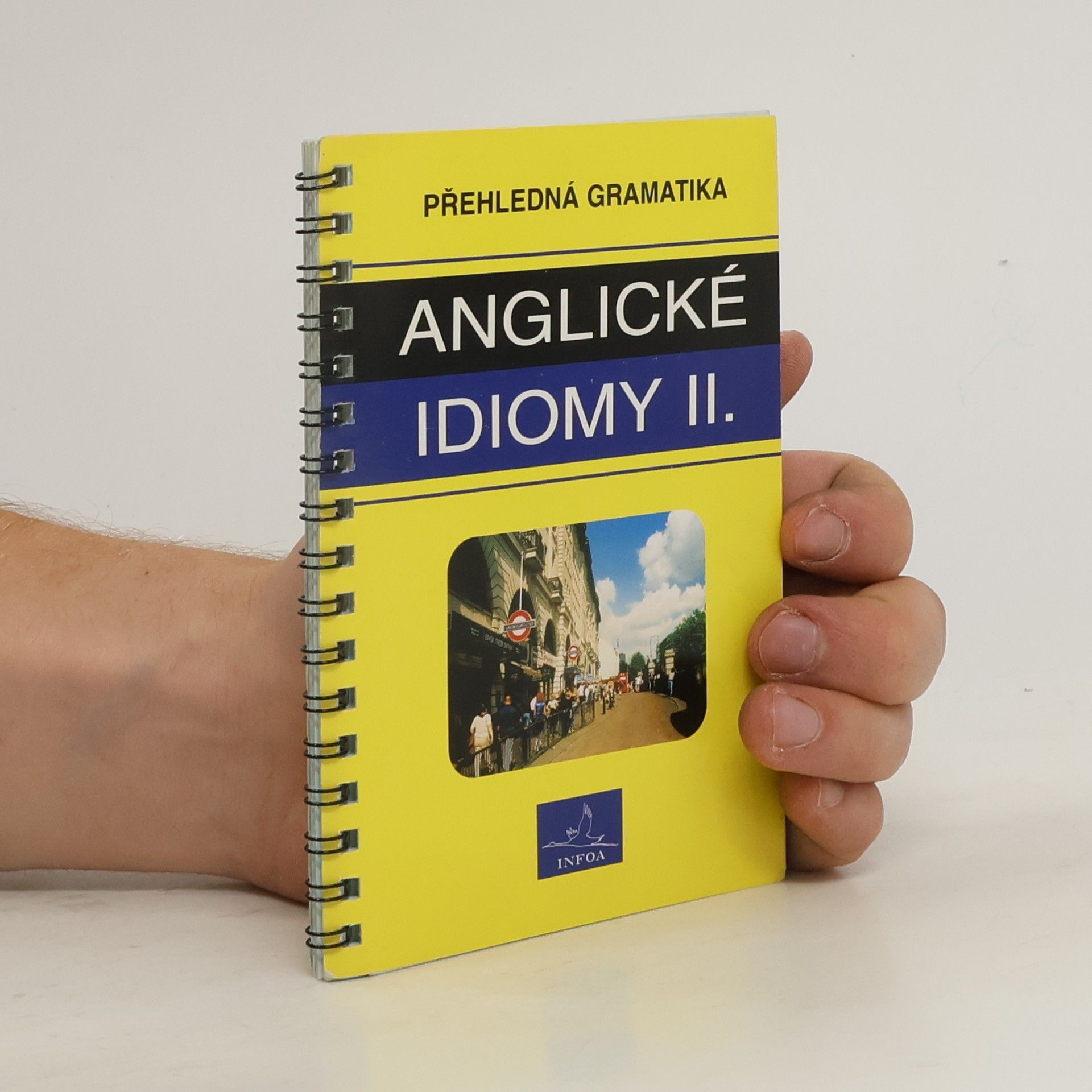kolektiv Přehledná gramatika. Anglické idiomy II.