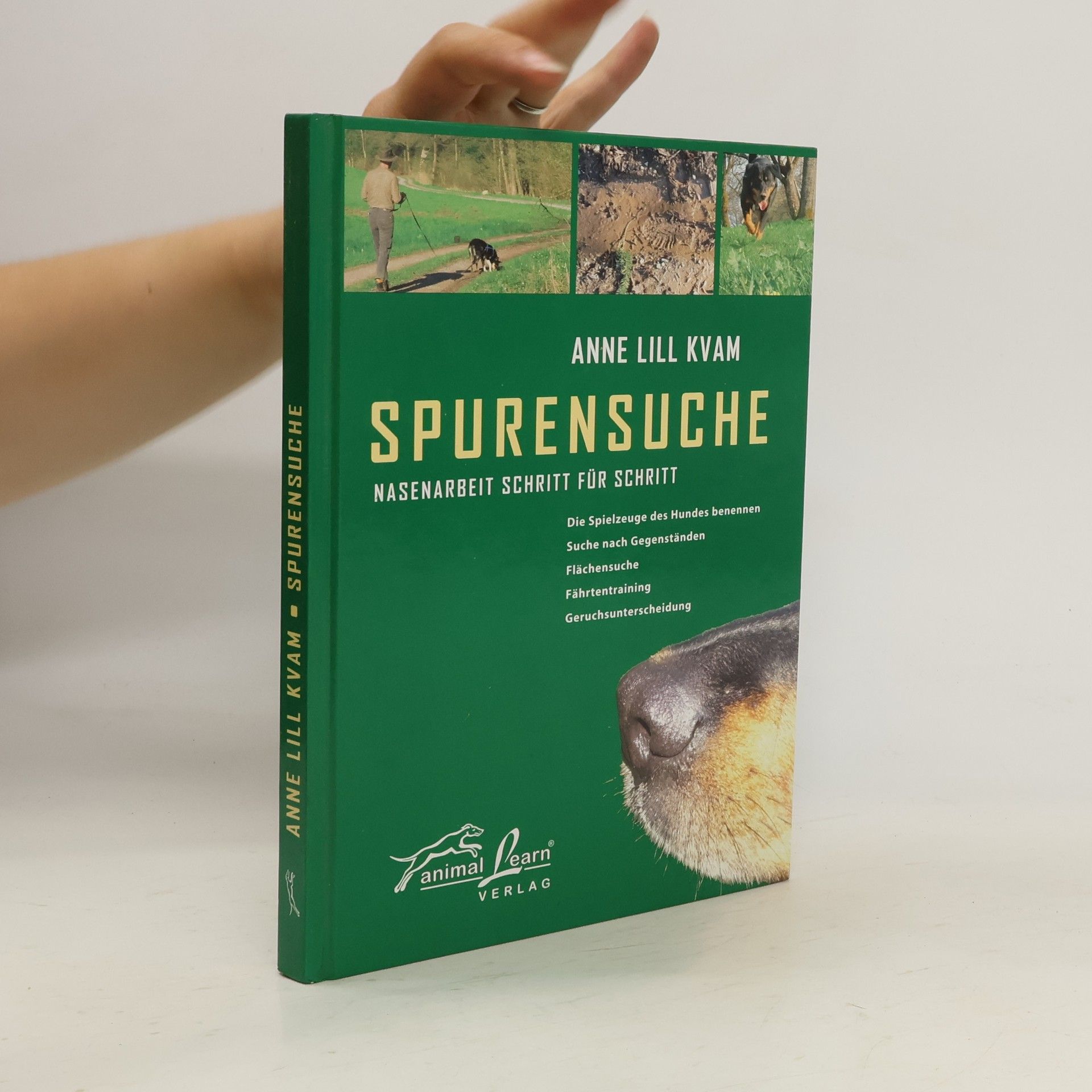Anne Lill Kvam Spurensuche