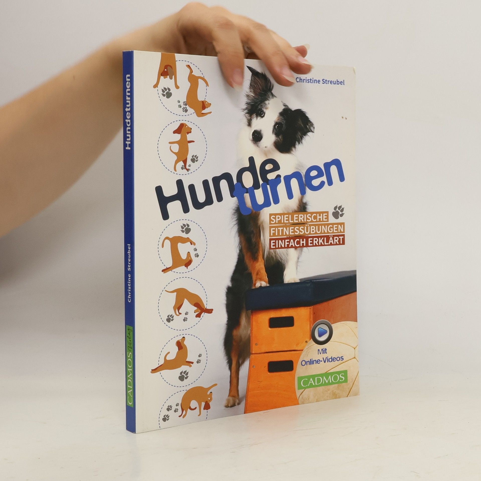 Christine Streubel Hundeturnen