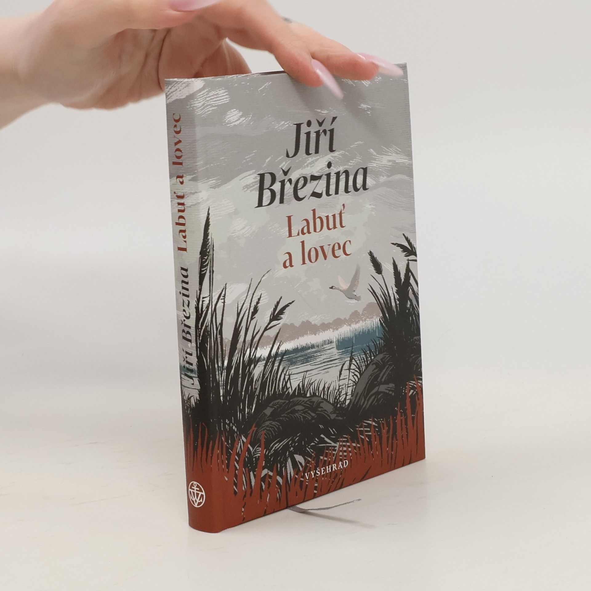 Jir Brezina Labuť a lovec