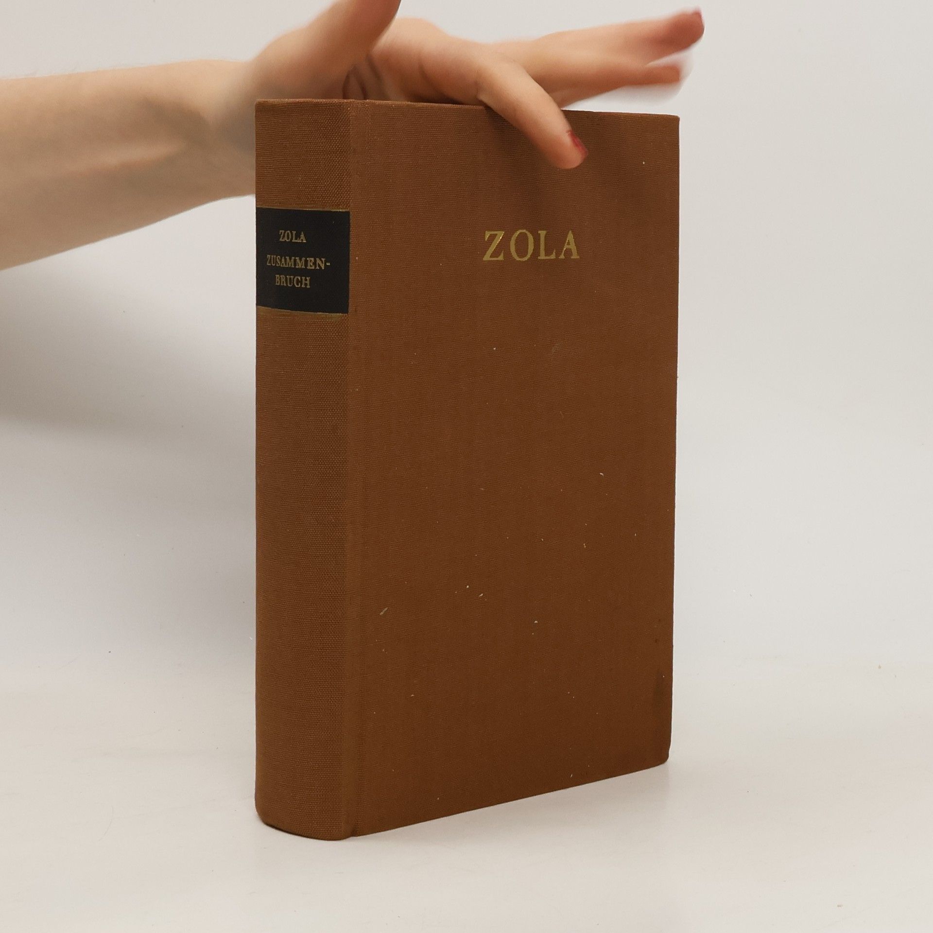 Émile Zola Zusammenbruch