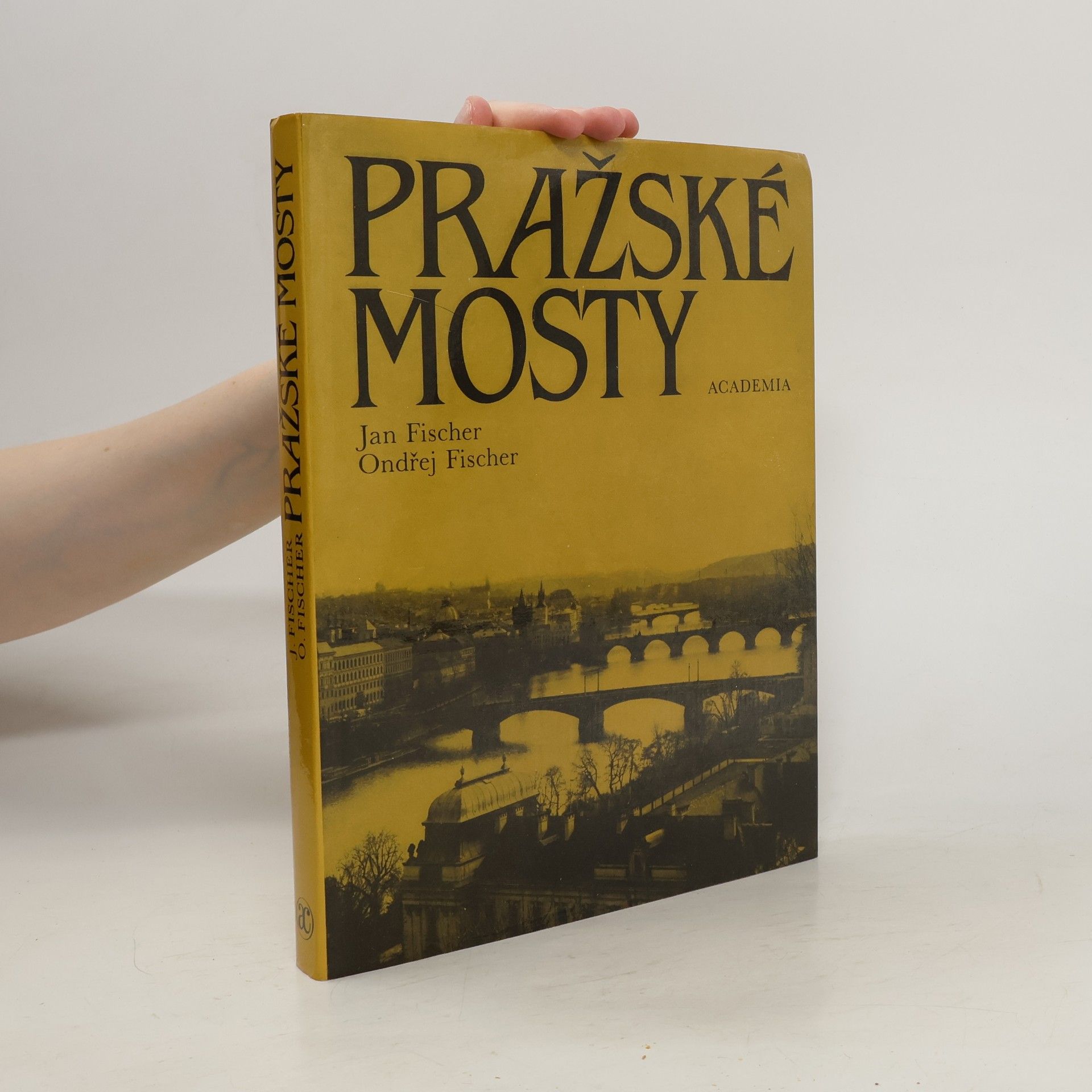 Jan Fischer Pražské mosty