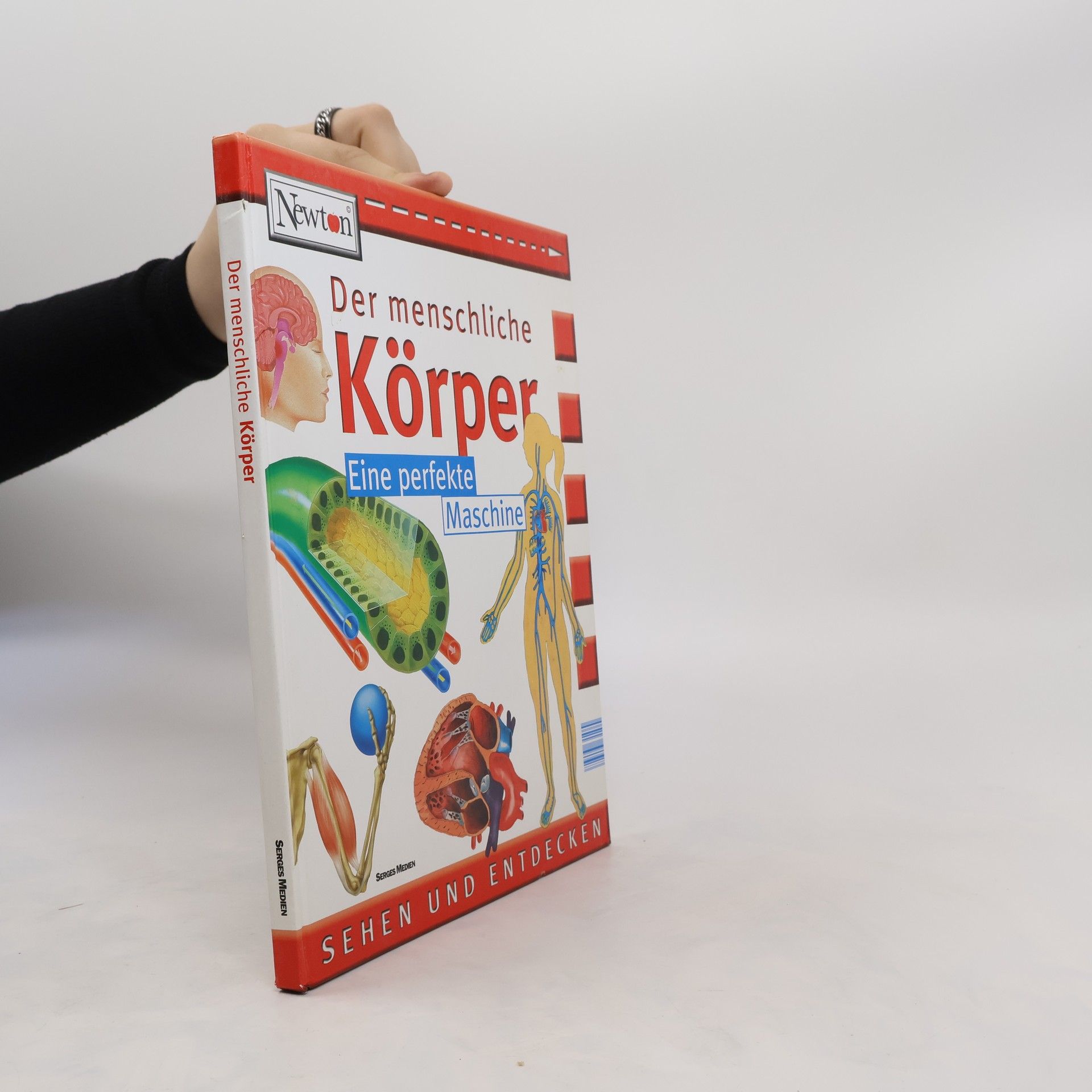 Autorenkollektiv Der menschliche Körper