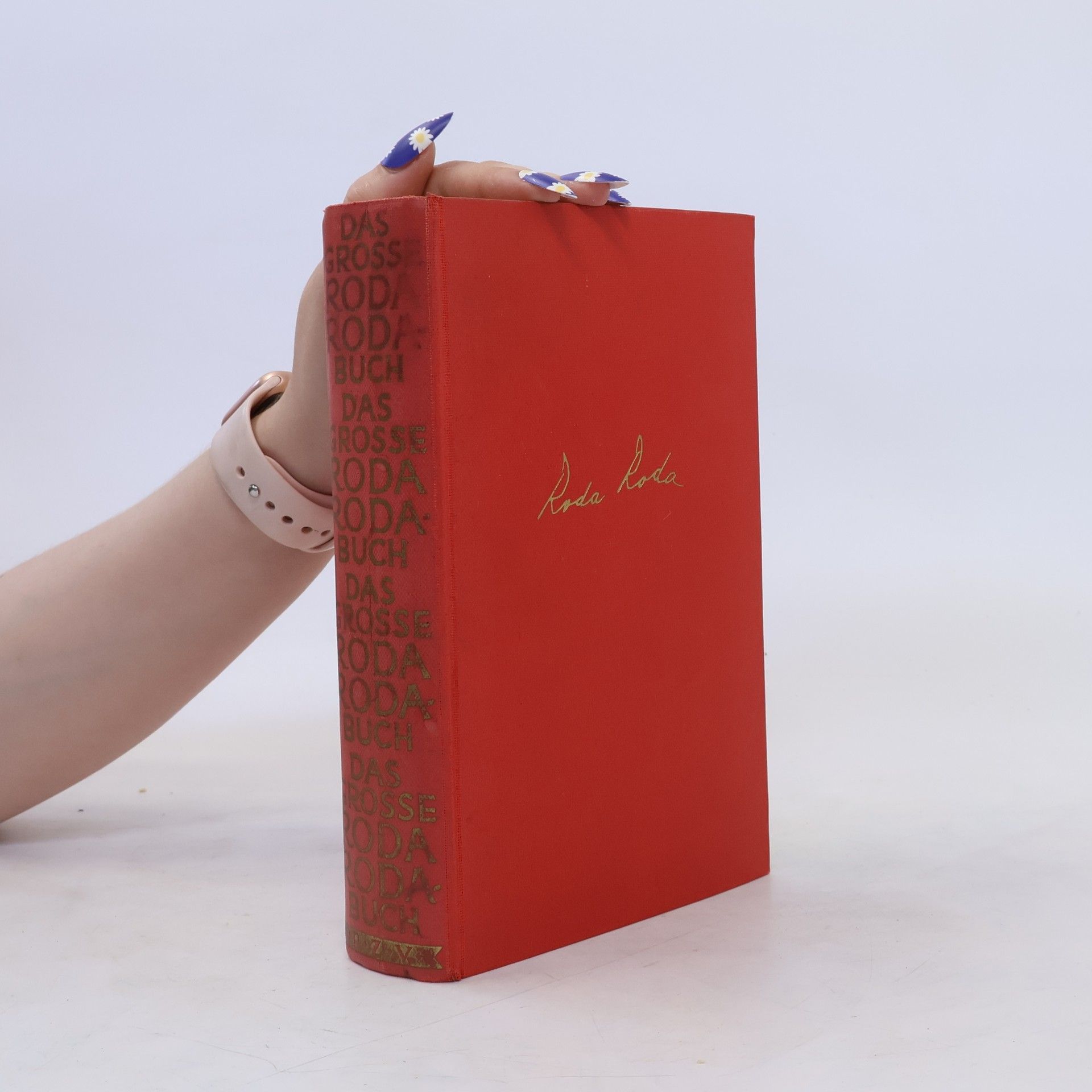 Alexander Roda Roda Das grosse Roda Roda Buch