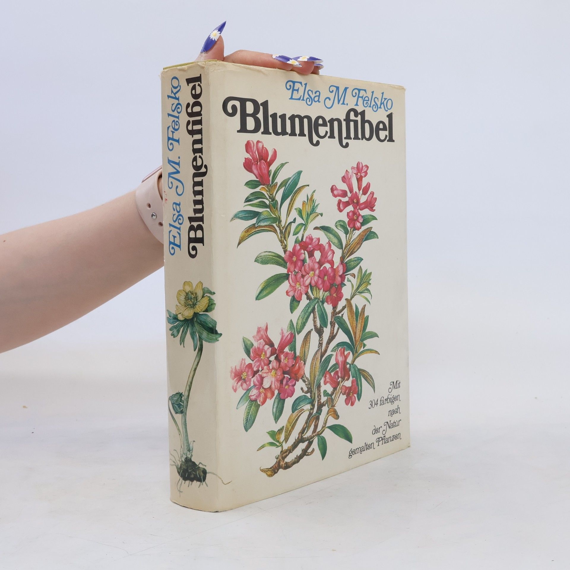 Elsa M. Felsko Blumenfibel