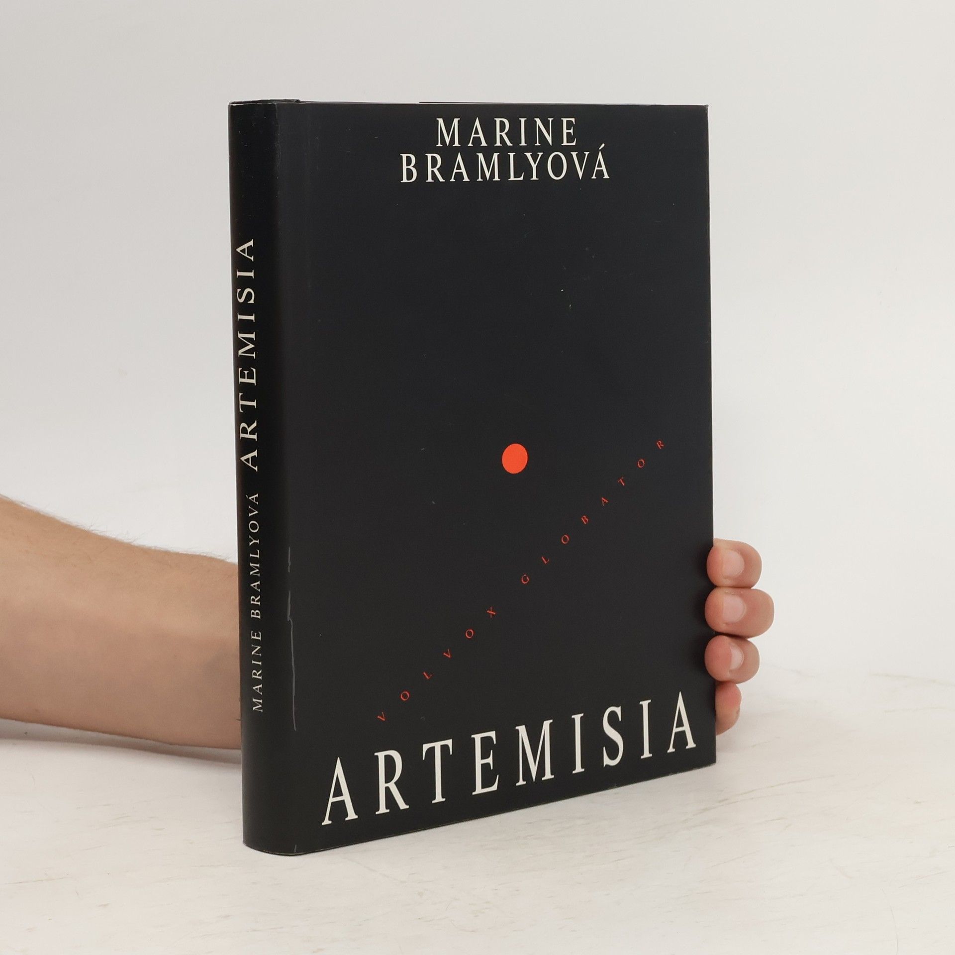 Marine Bramly Artemisia aneb Malířská náruživost