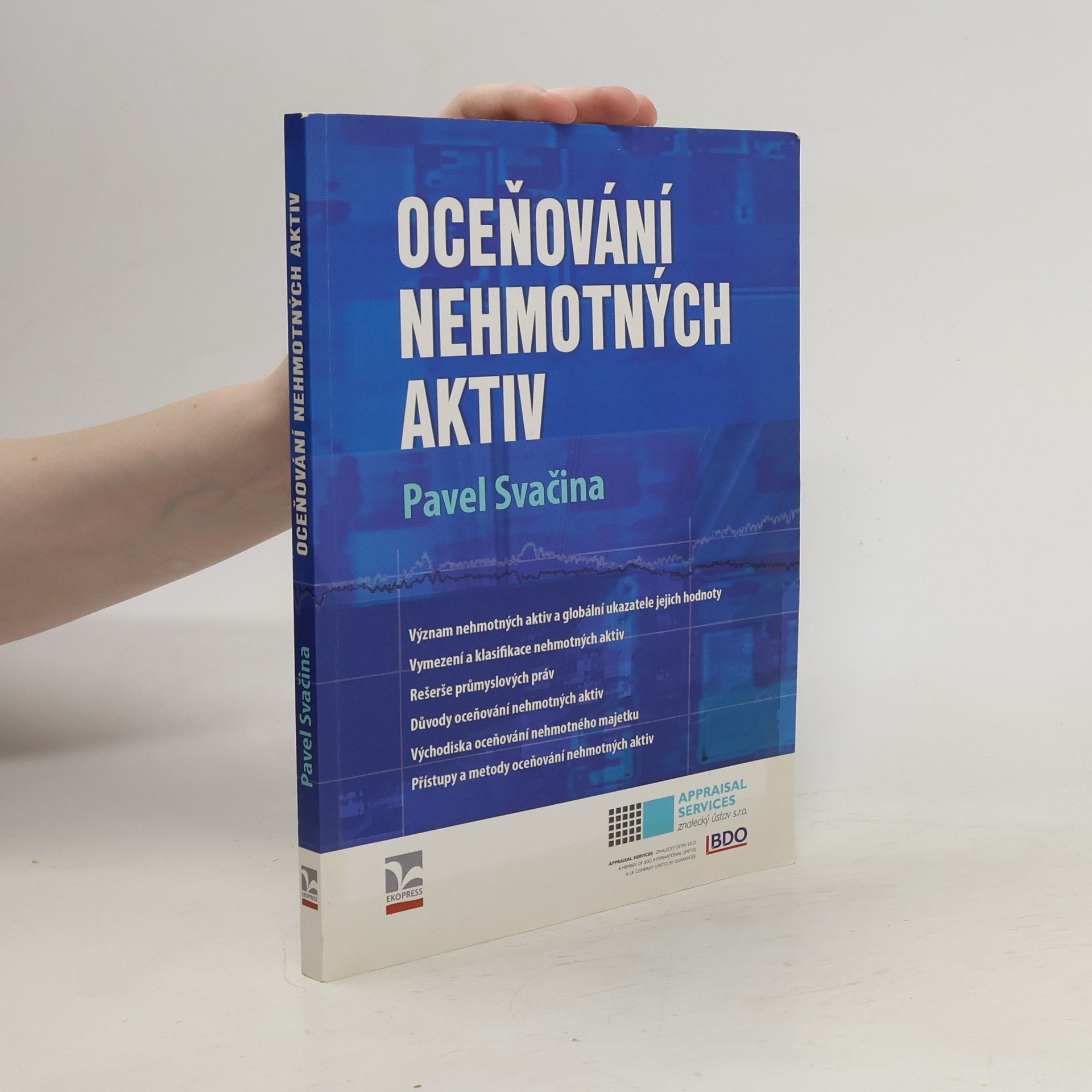 Pavel Svačina Oceňování nehmotných aktiv
