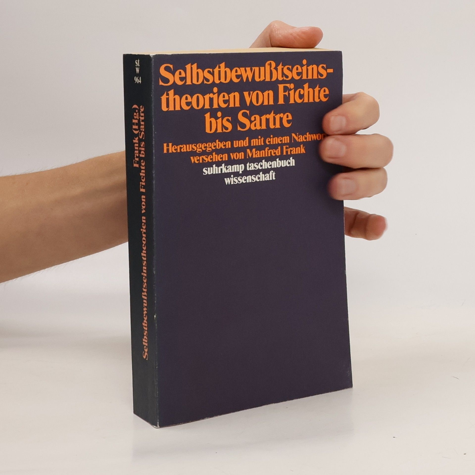 Manfred Frank Selbstbewusstseinstheorien von Fichte bis Sartre