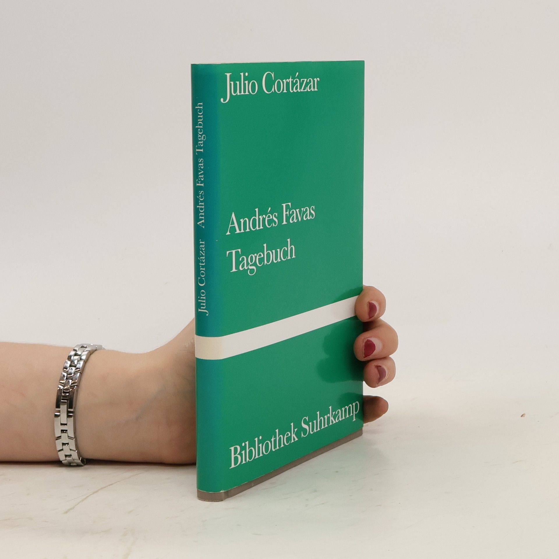 Julio Cortázar Andrés Favas Tagebuch