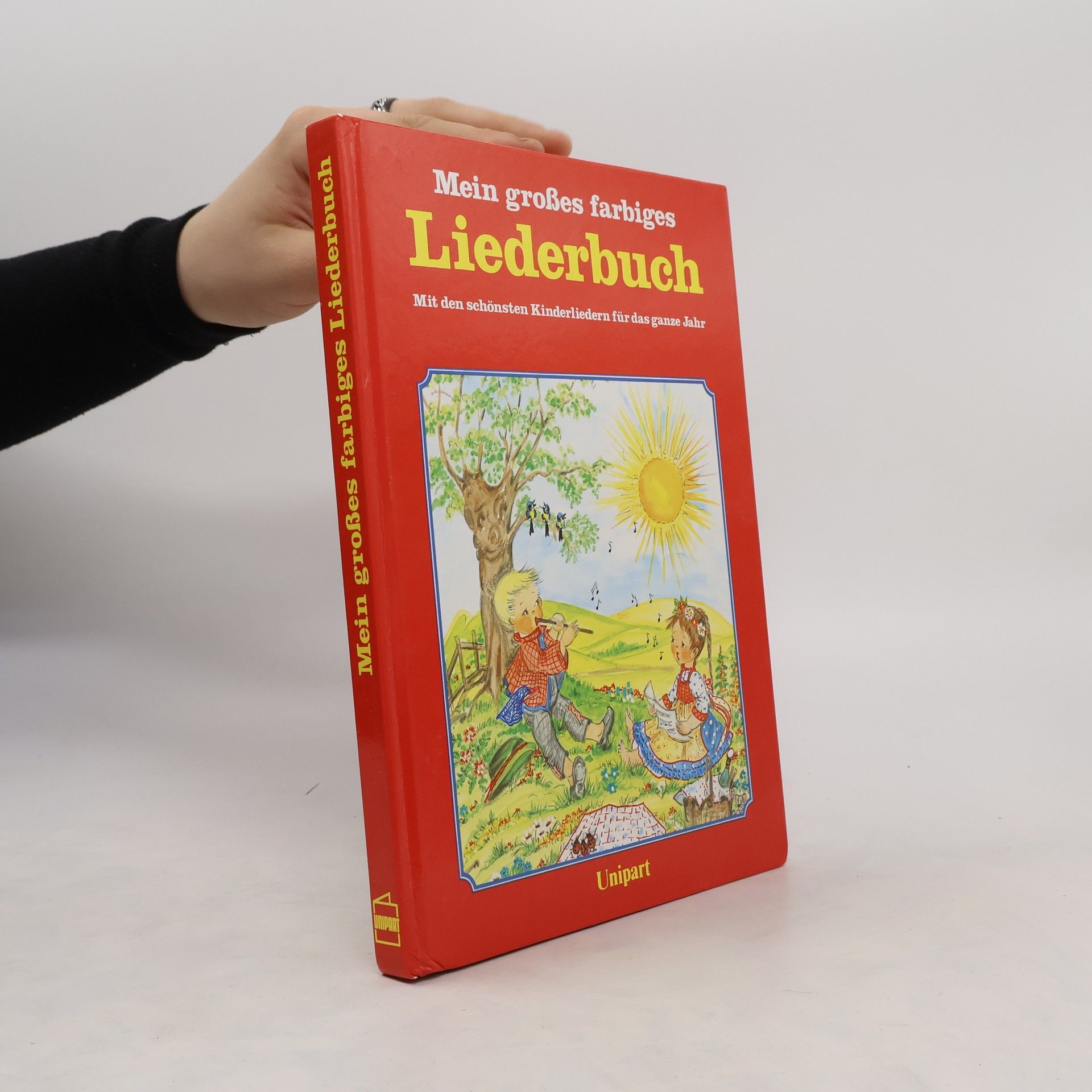 Collective Mein großes farbiges Liederbuch