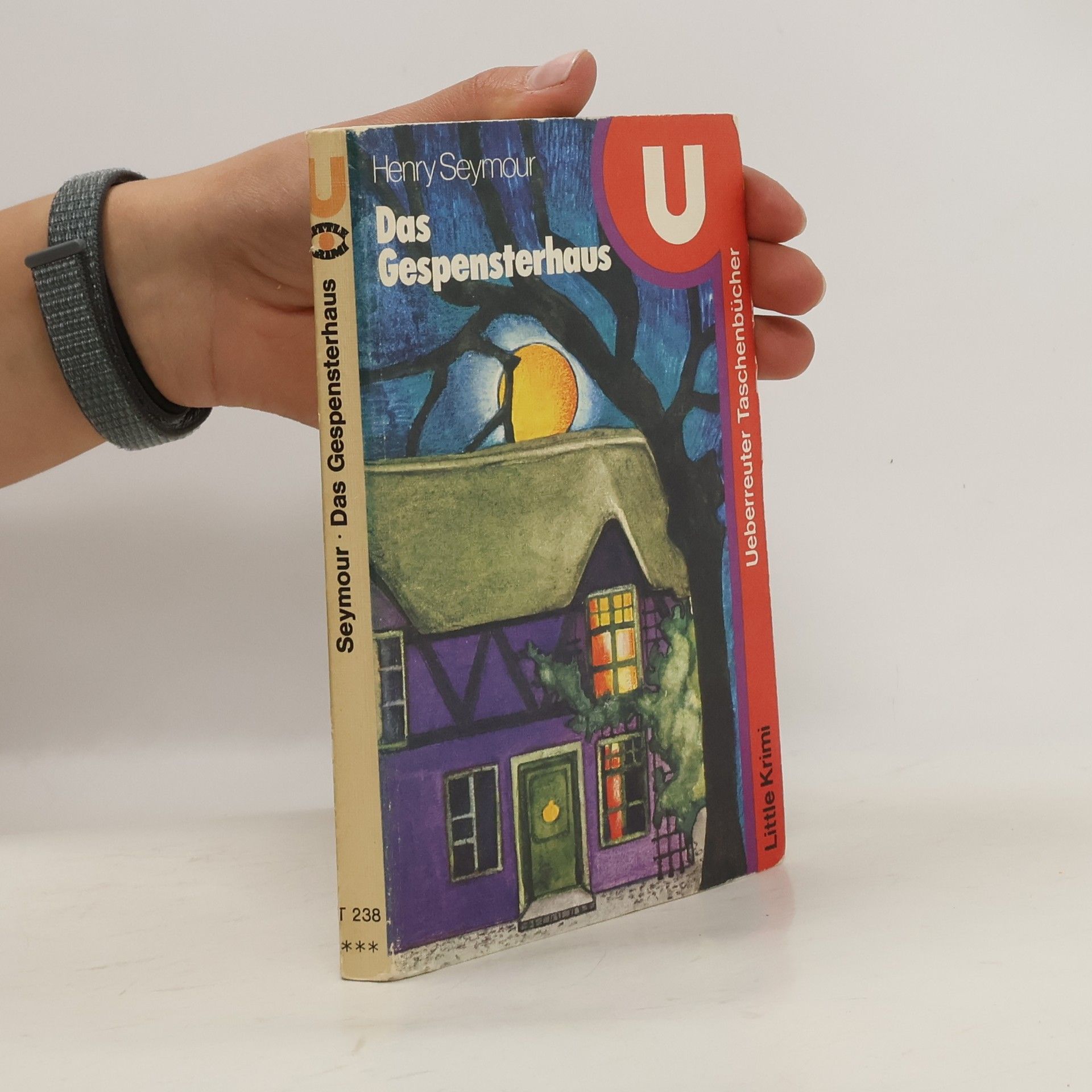 Henry Seymour Das Gespensterhaus
