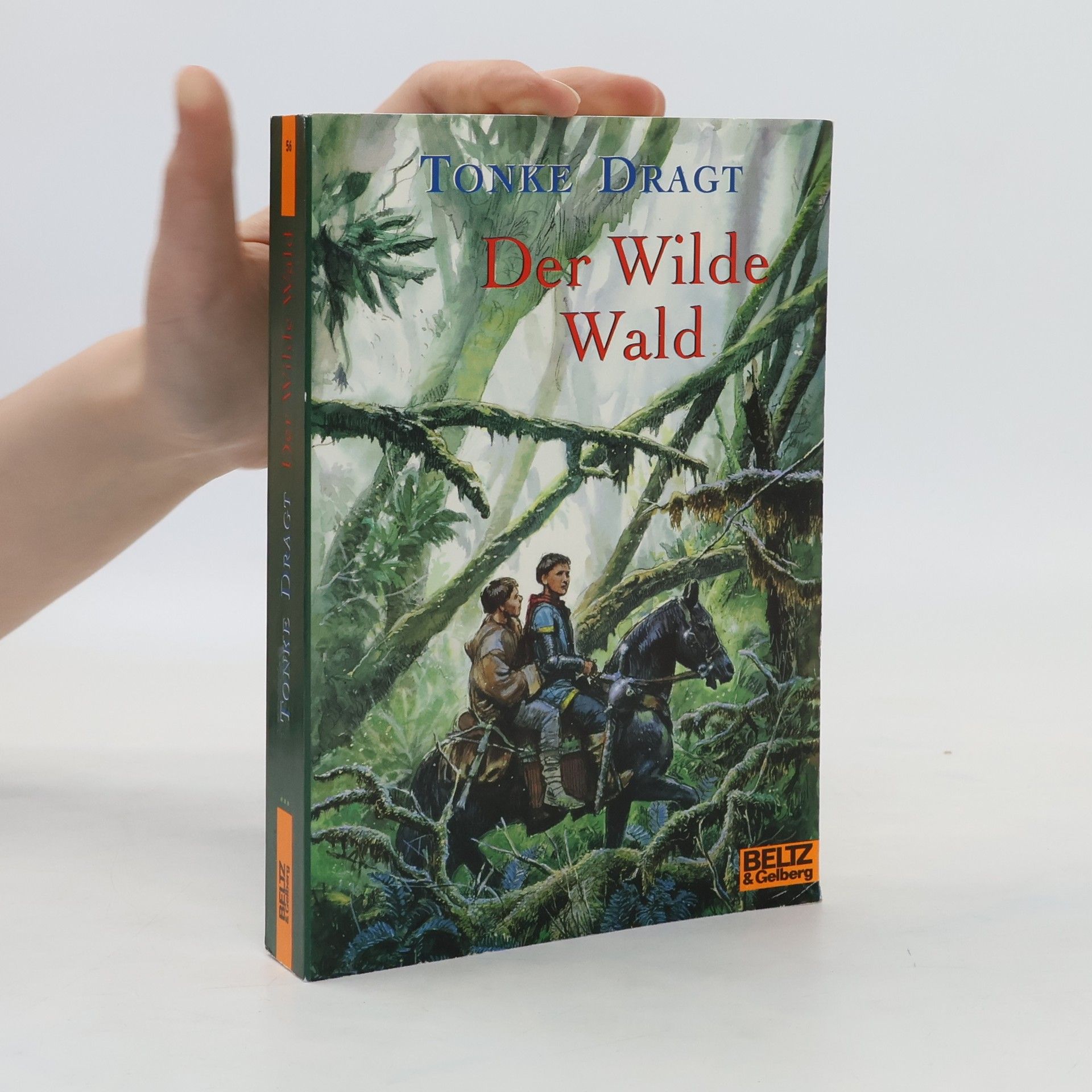 Tonke Dragt Der Wilde Wald