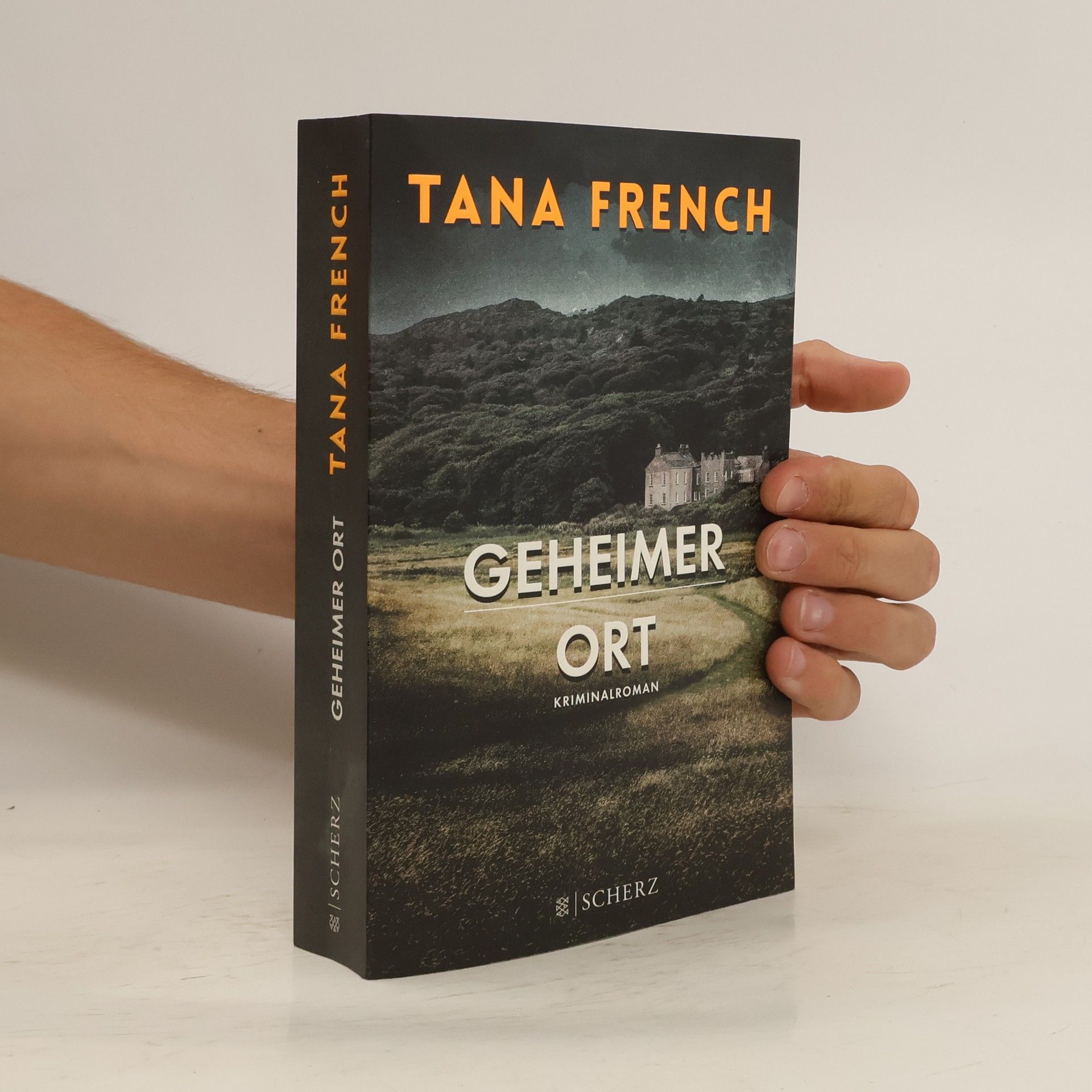 Tana French Geheimer Ort