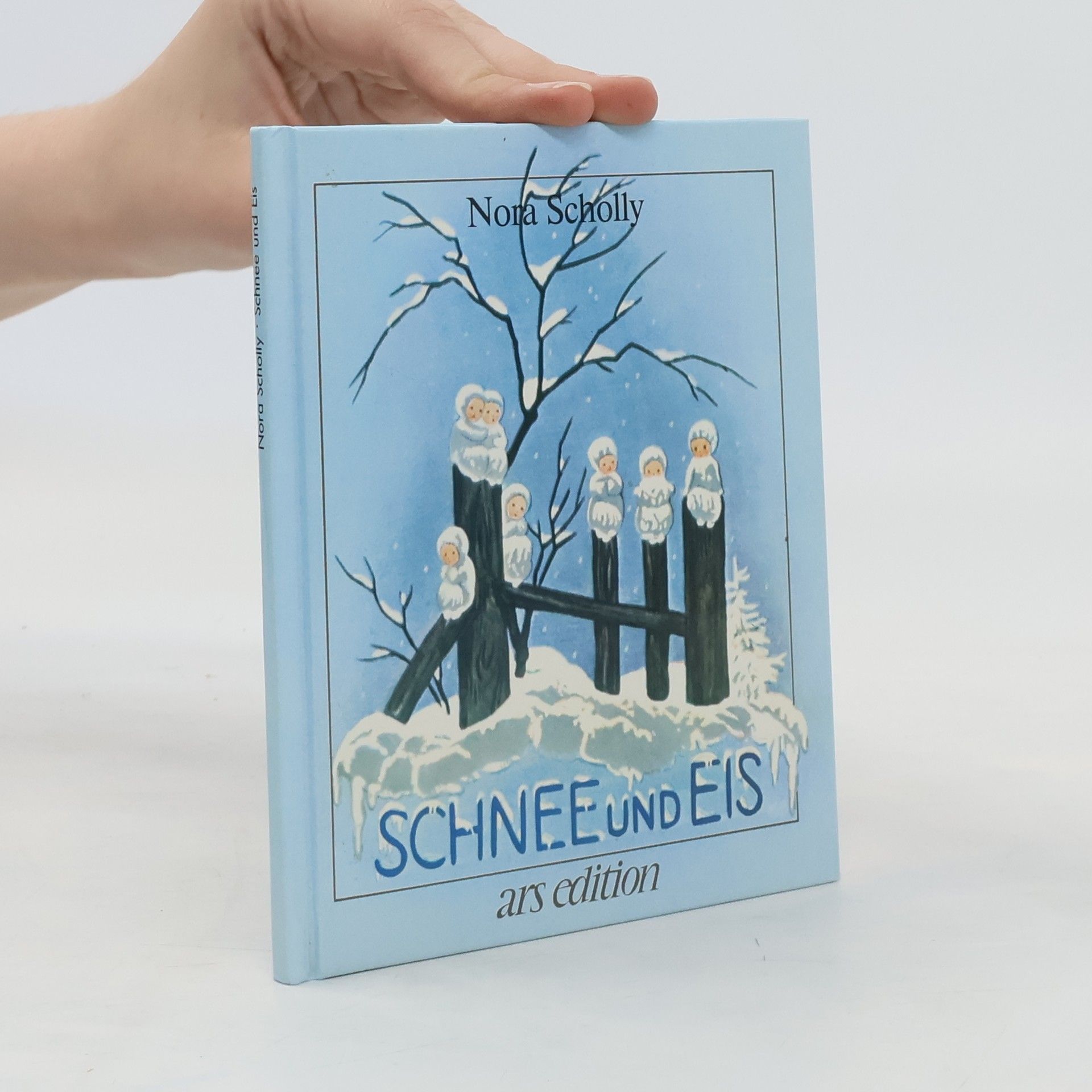 Nora Scholly Schnee und Eis