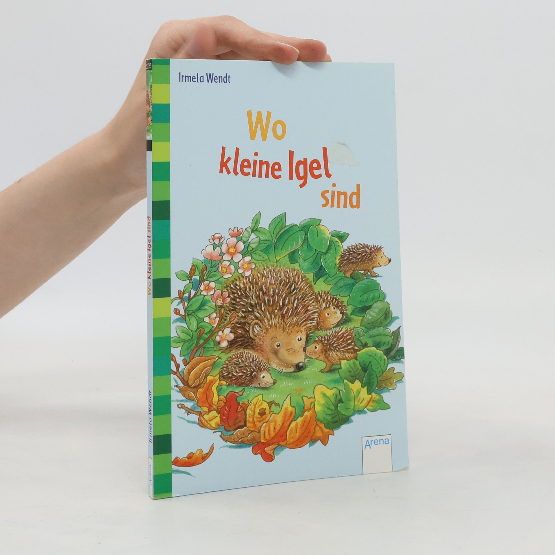 Irmela Wendt Wo kleine Igel sind
