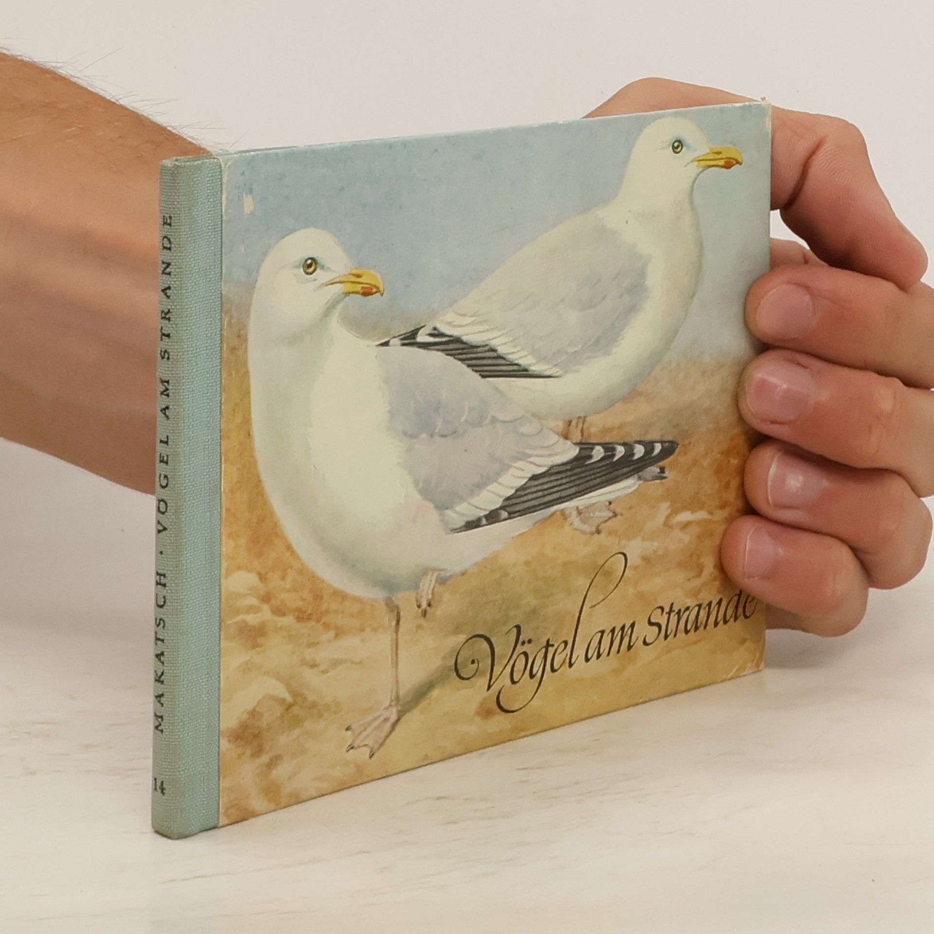 Wolfgang Makatsch Vögel am Strande