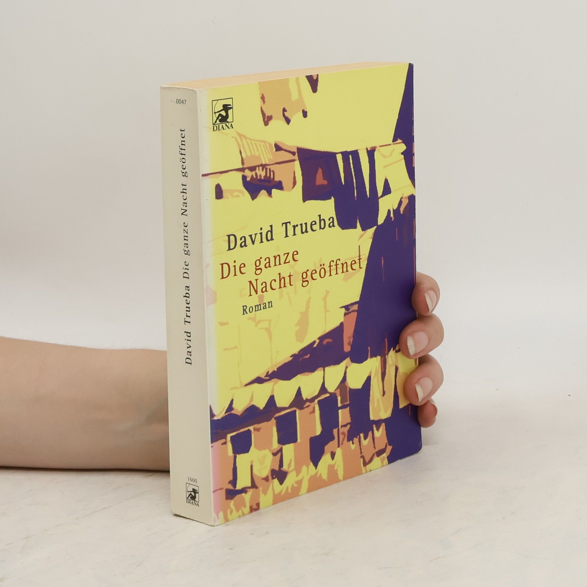 David Trueba Die ganze Nacht geöffnet