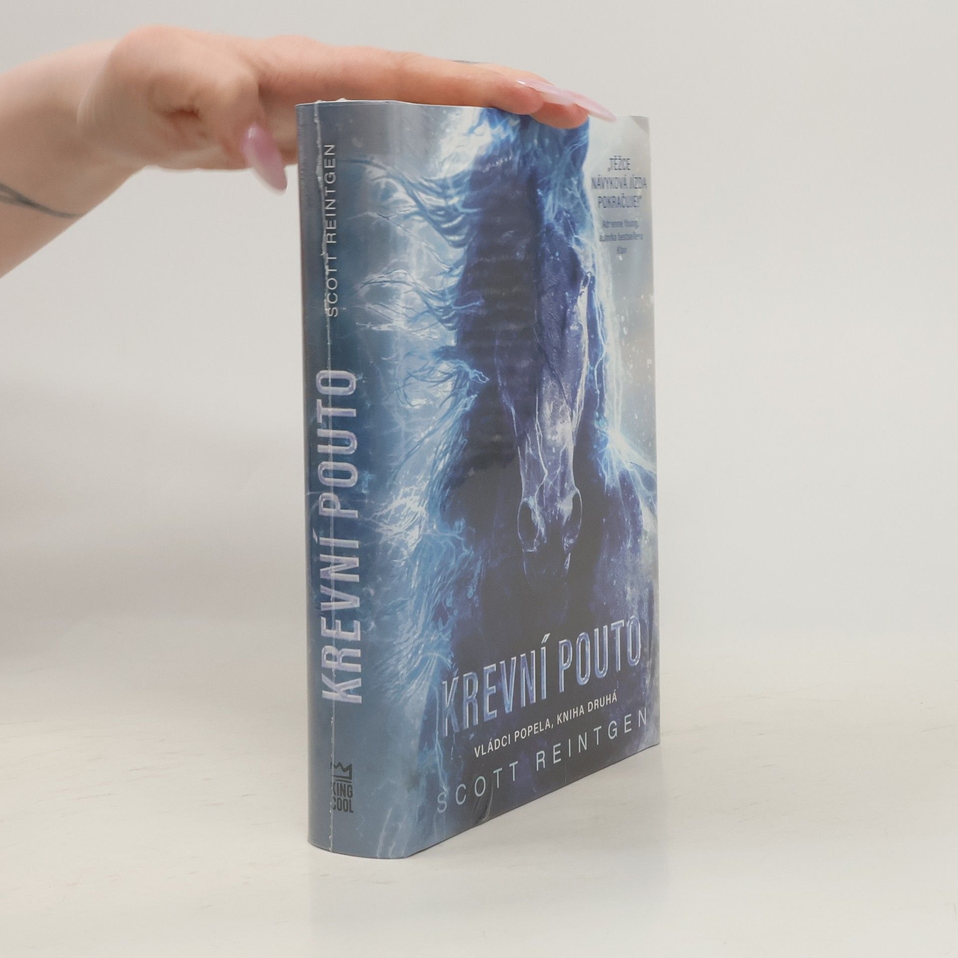 Scott Reintgen Vládci popela. Kniha druhá, Krevní pouto