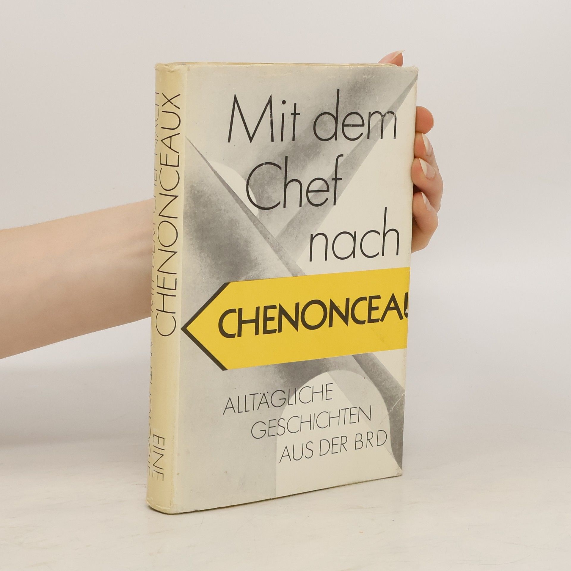 Annie Voigtländer Mit dem Chef nach Chenonceaux