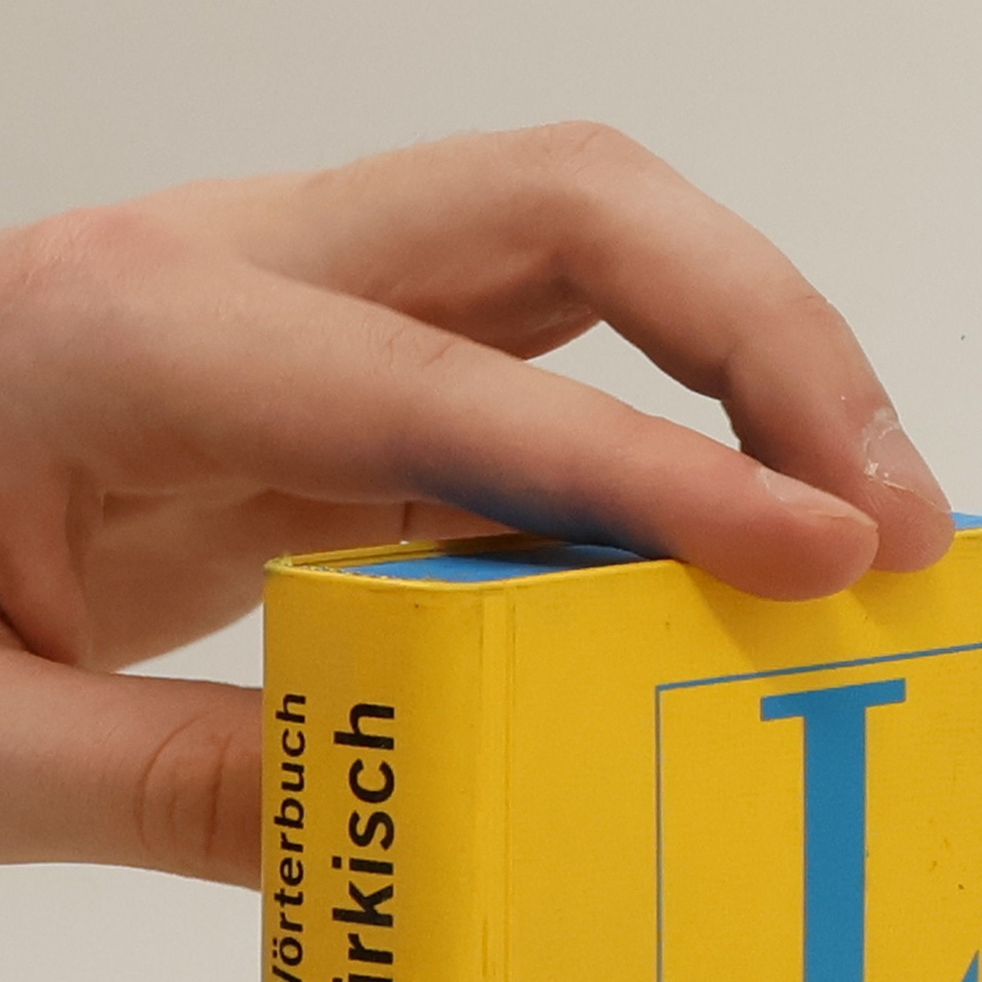 Özgür Savaşçı Langenscheidts Eurowörterbuch Türkisch