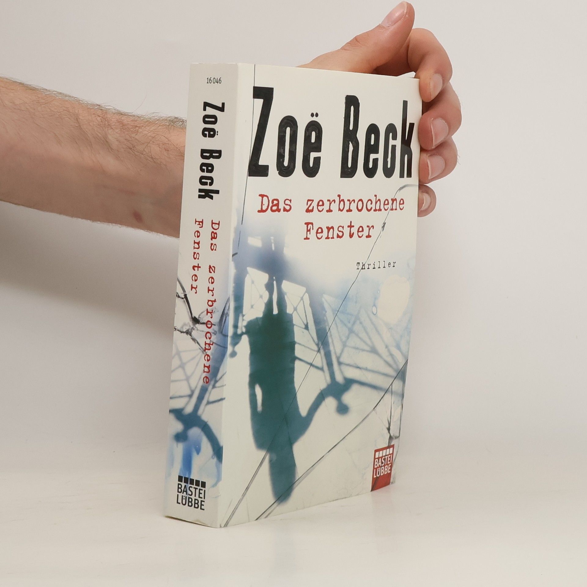 Zoë Beck Das zerbrochene Fenster