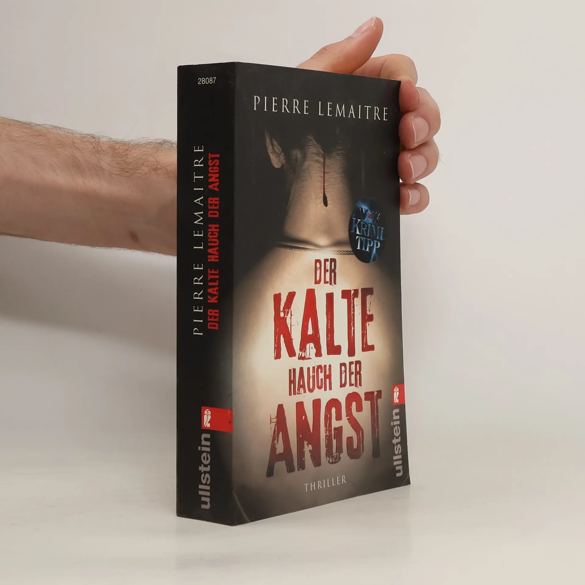 Der Kalte Hauch der Angst | Libro | Pierre Lemaitre | DE