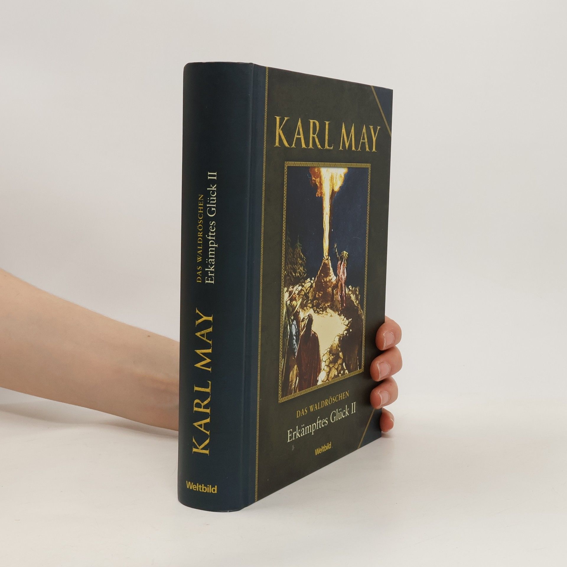 Karl May Erkämpftes Glück II.