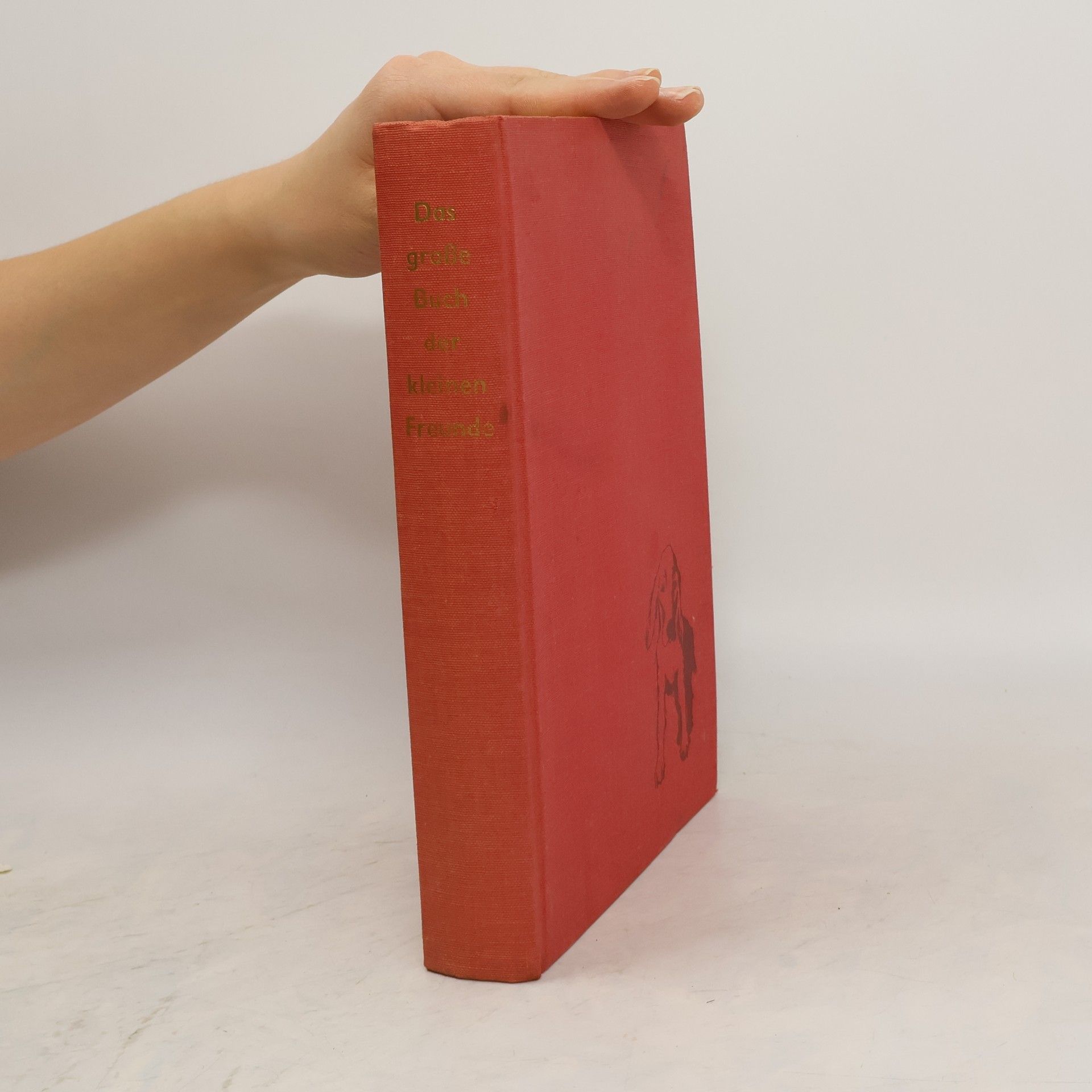 Autorenkollektiv Das grosse Buch der kleinen Freunde
