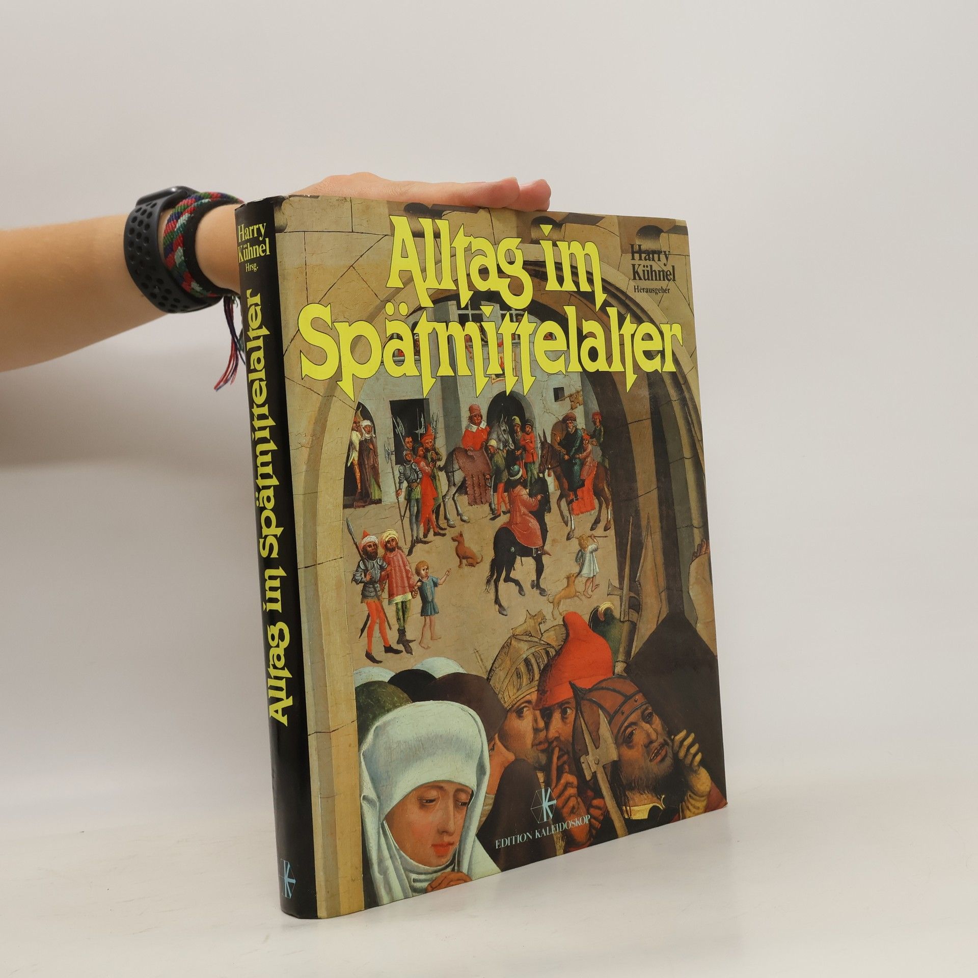 Harry Kühnel Alltag im Spätmittelalter