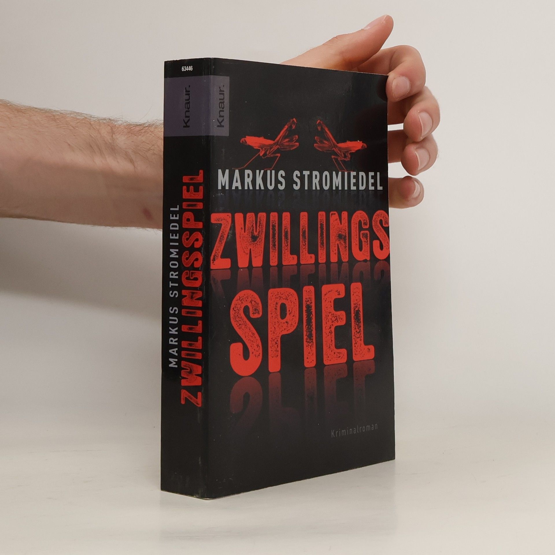 Markus Stromiedel Zwillingsspiel