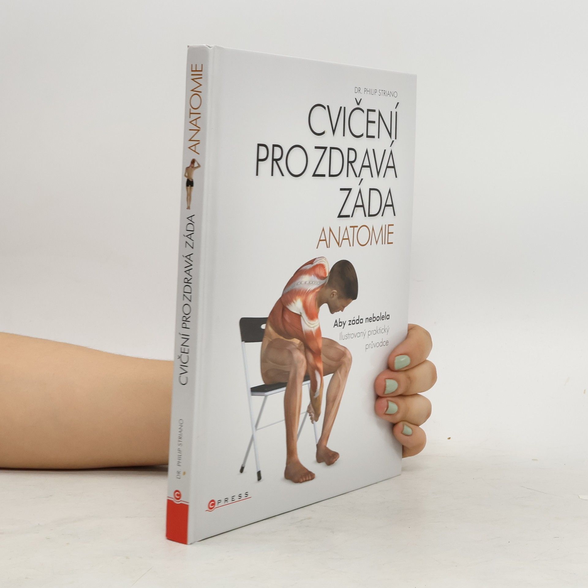Philip Striano Cvičení pro zdravá záda - anatomie