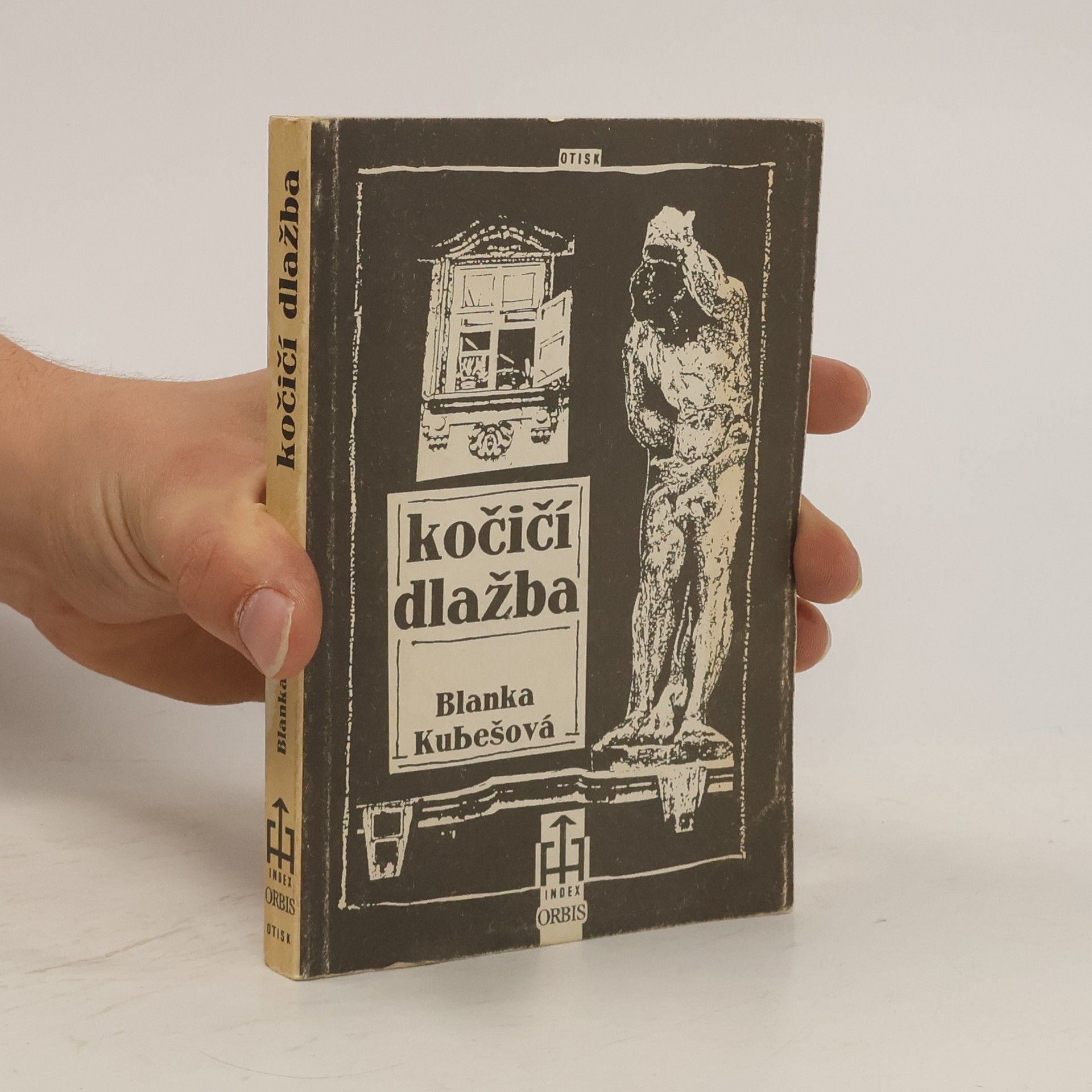 Blanka Kubešová Kočičí dlažba