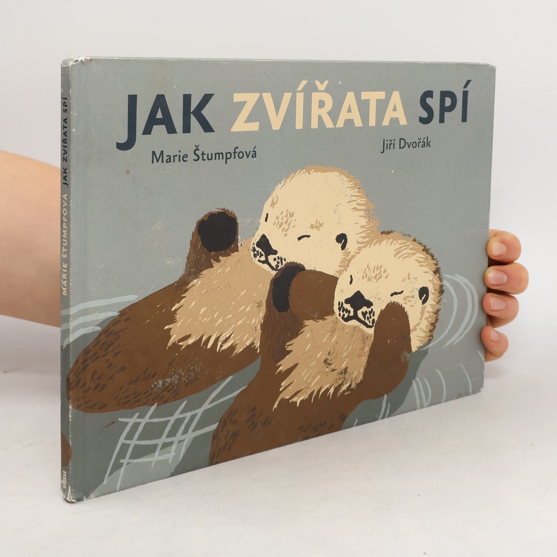 Marie Štumpfová Jak zvířata spí