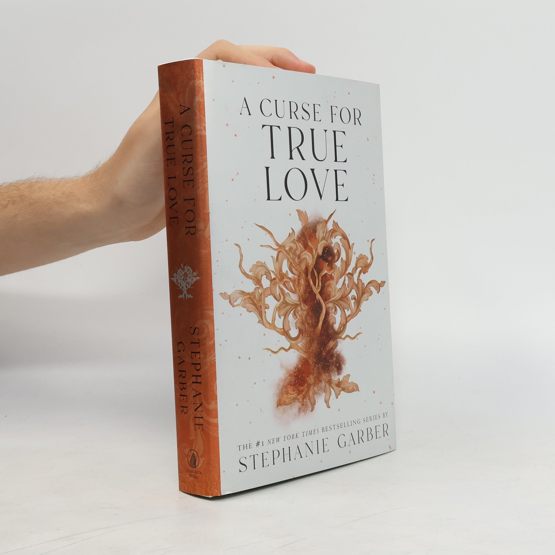 Stephanie Garberová A Curse for True Love