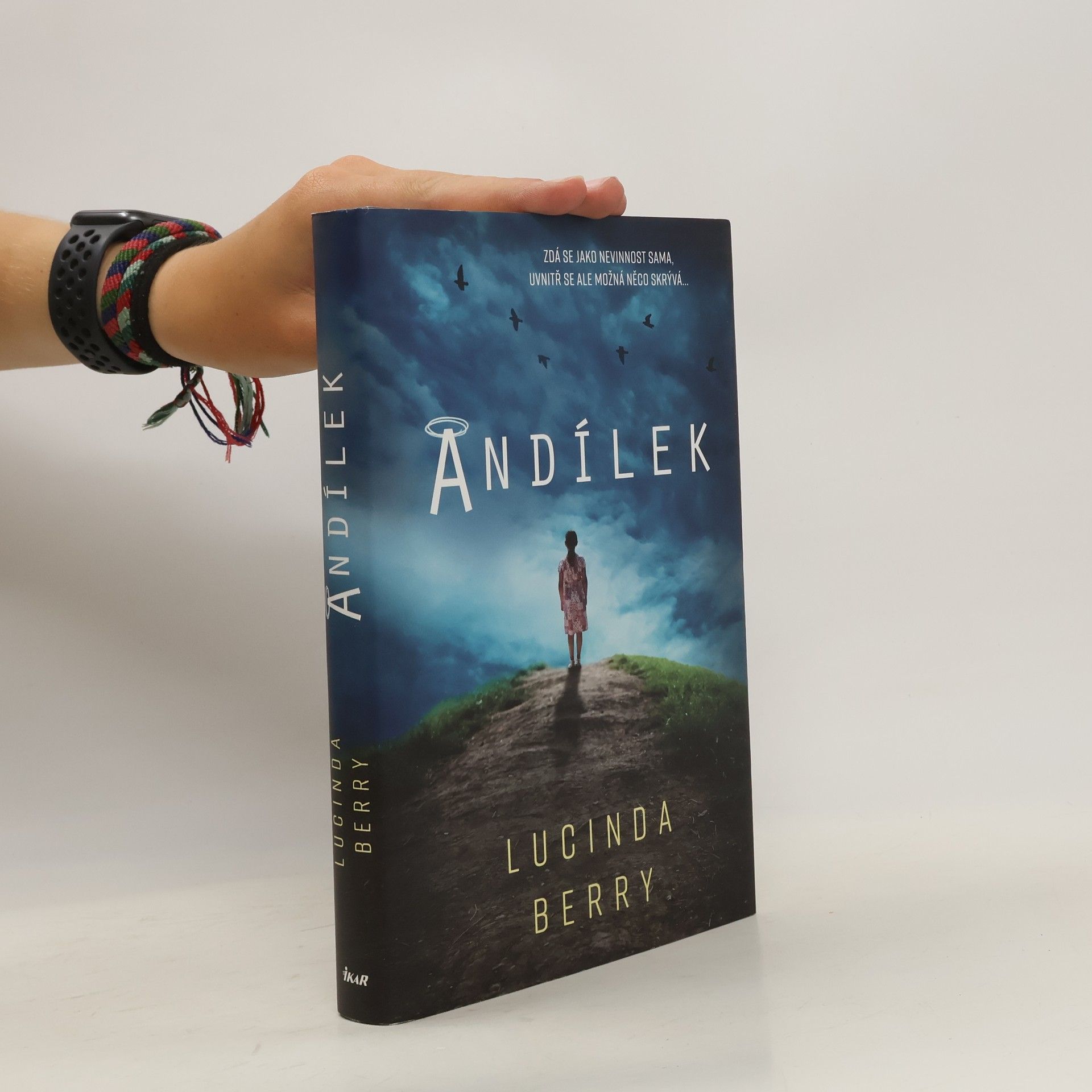 Lucinda Berry Andílek