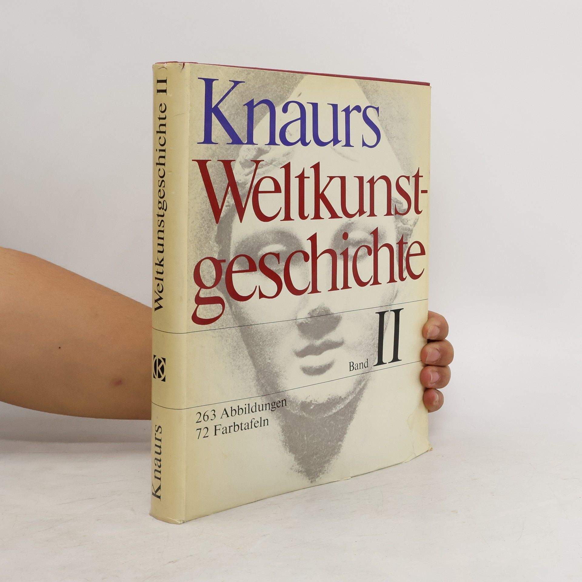 Kolektiv autorů Weltkunstgeschichte II.