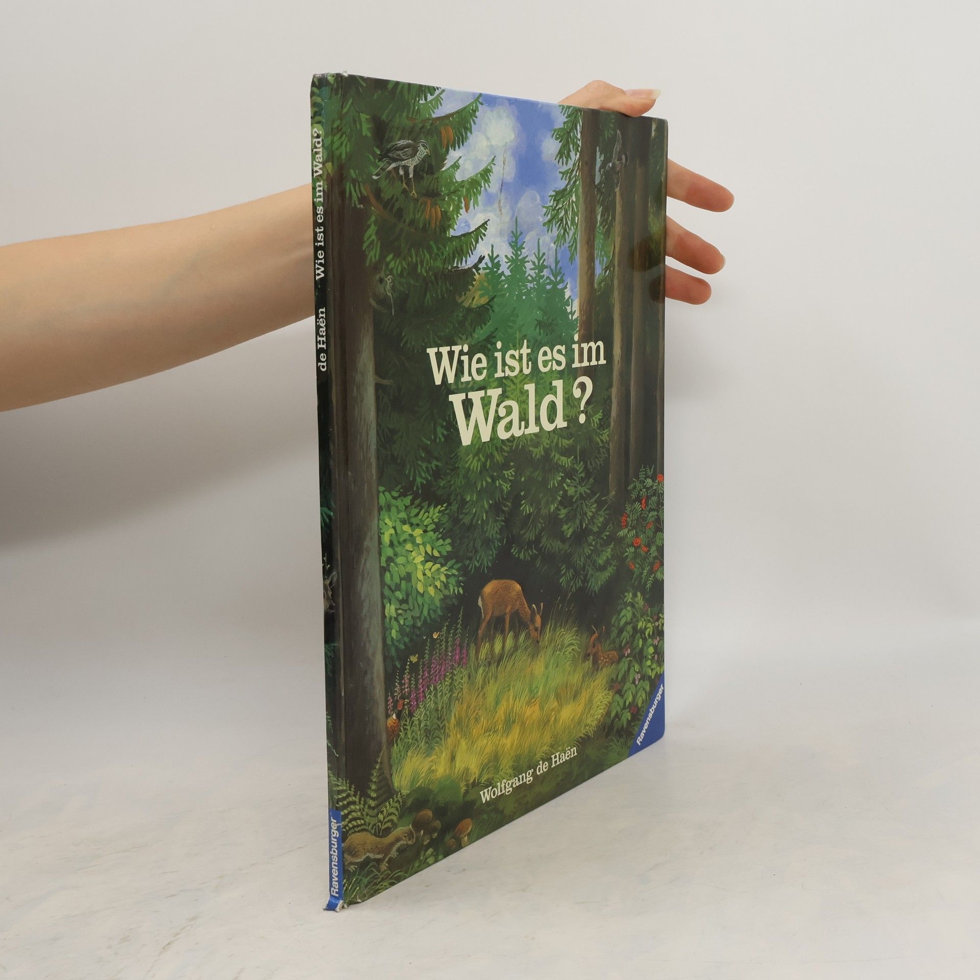 Wolfgang de Haen Wie ist es im Wald?