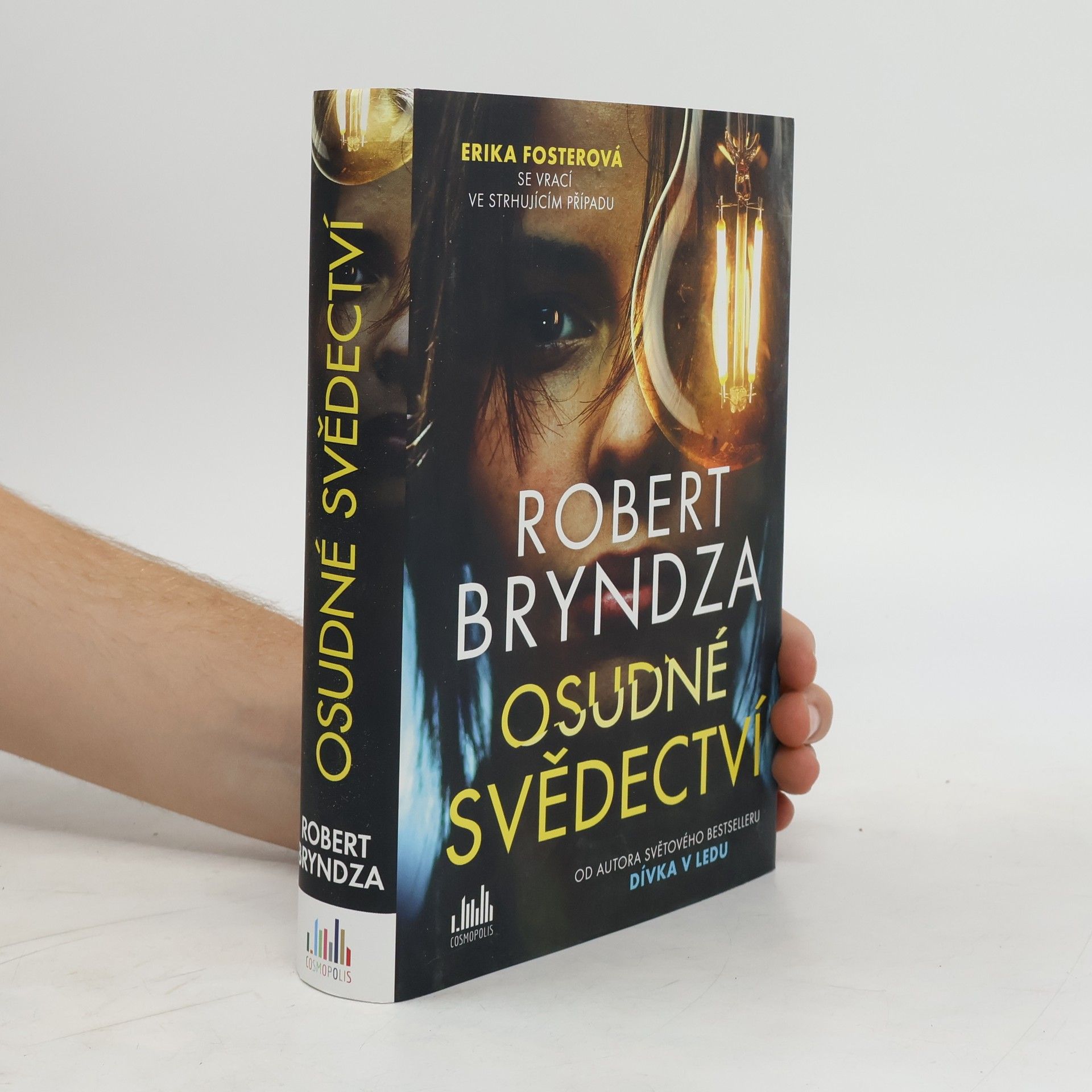 Robert Bryndza Osudné svědectví