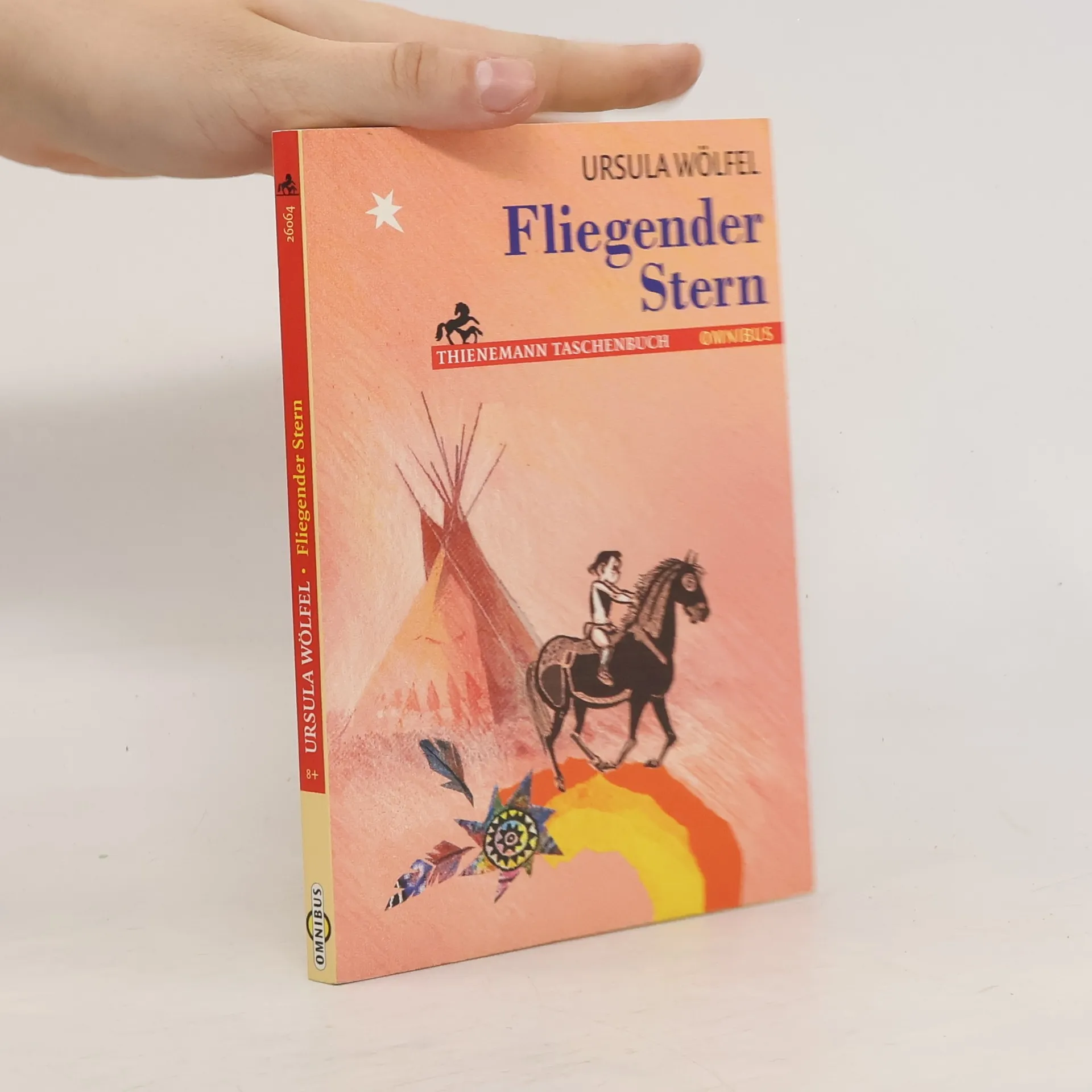 Fliegender Stern | Book | Ursula Wölfel | DE
