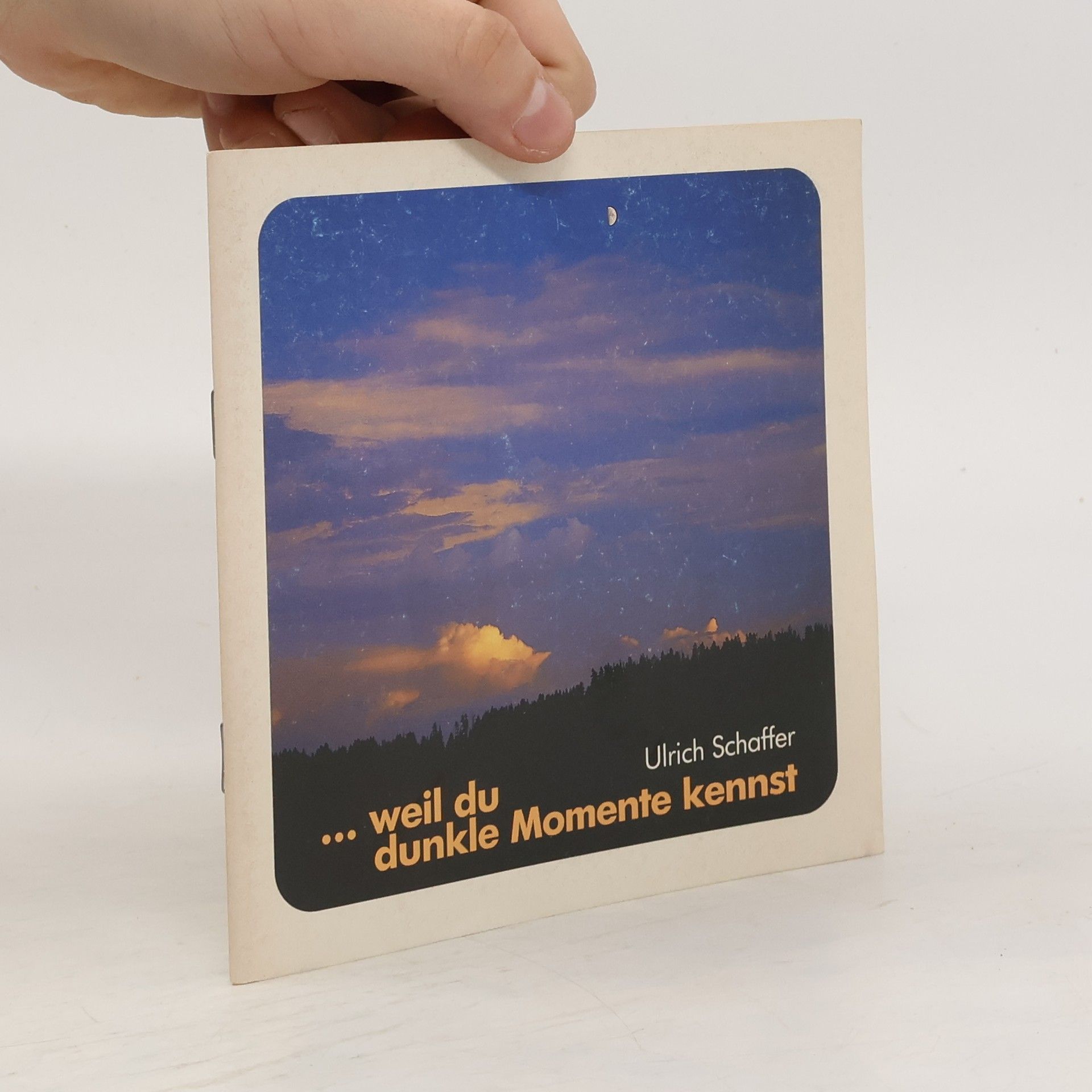 Ulrich Schaffer Weil du dunkle Momente kennst