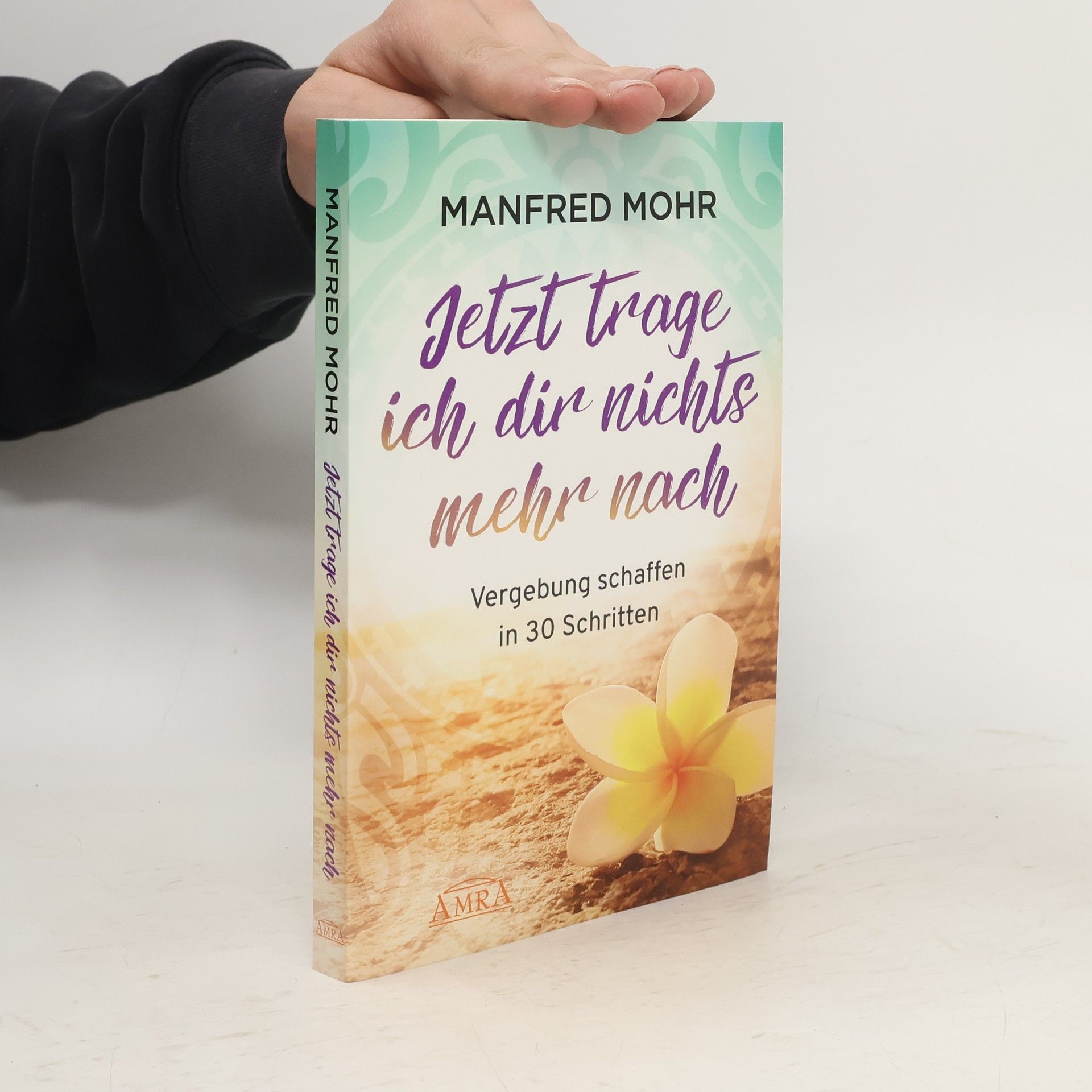 Manfred Mohr Jetzt trage ich dir nichts mehr nach - Vergebung schaffen in 30 Schritten