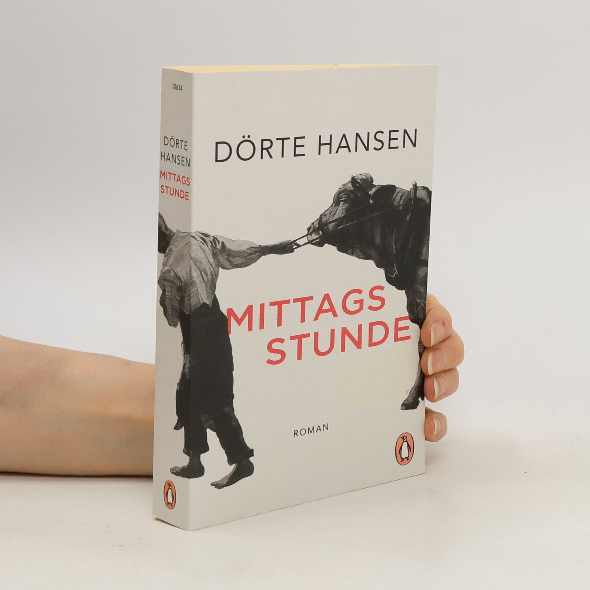 Dörte Hansen Mittagsstunde