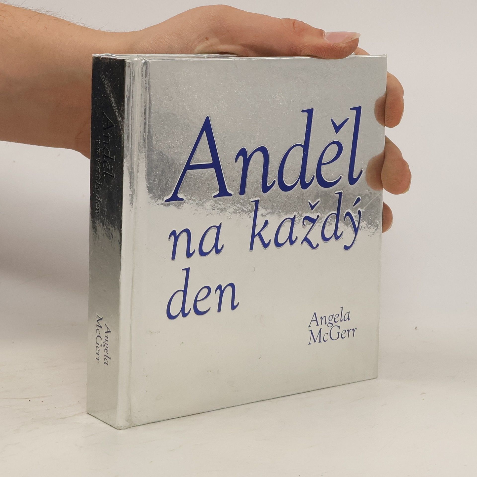 Angela McGerr Anděl na každý den