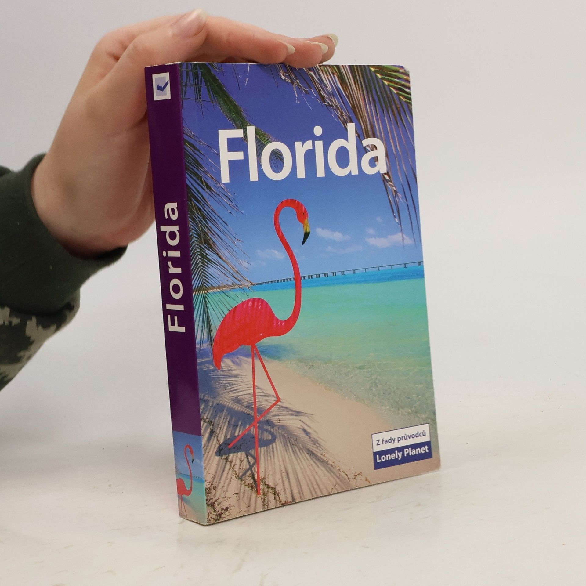 Jeff Campbell Florida