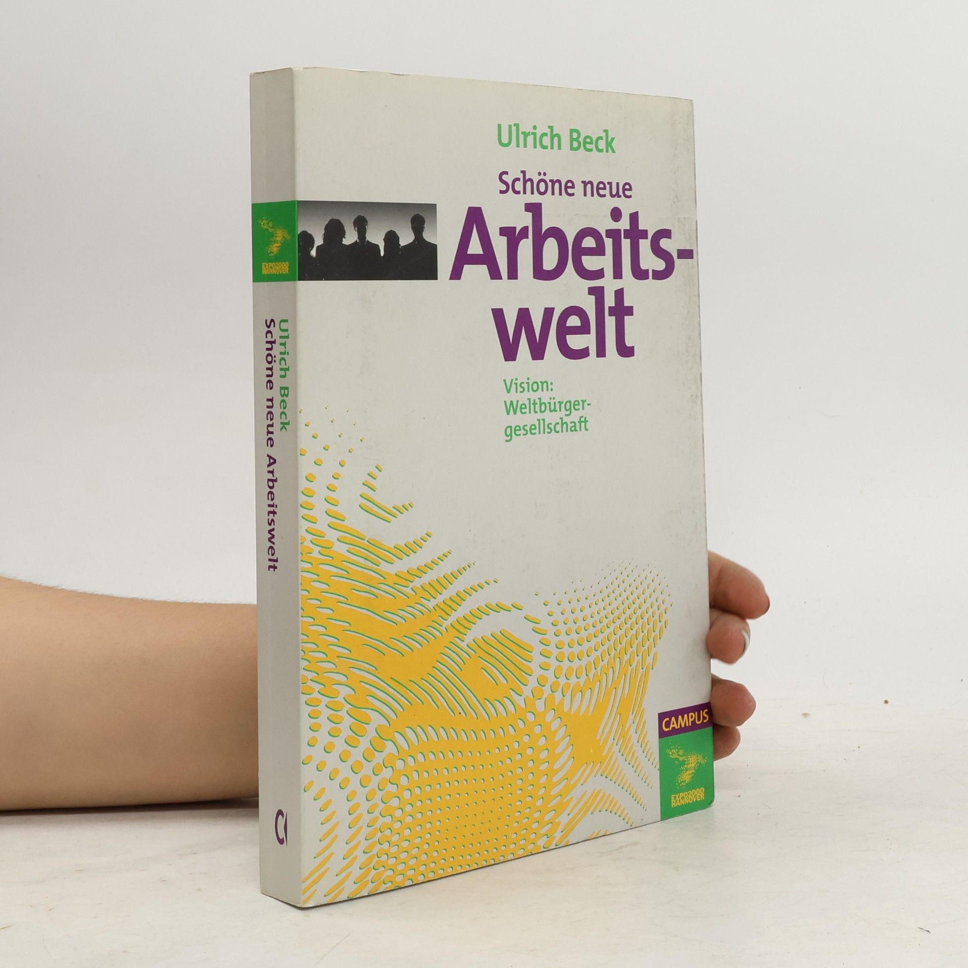 Ulrich Beck Schöne neue Arbeitswelt